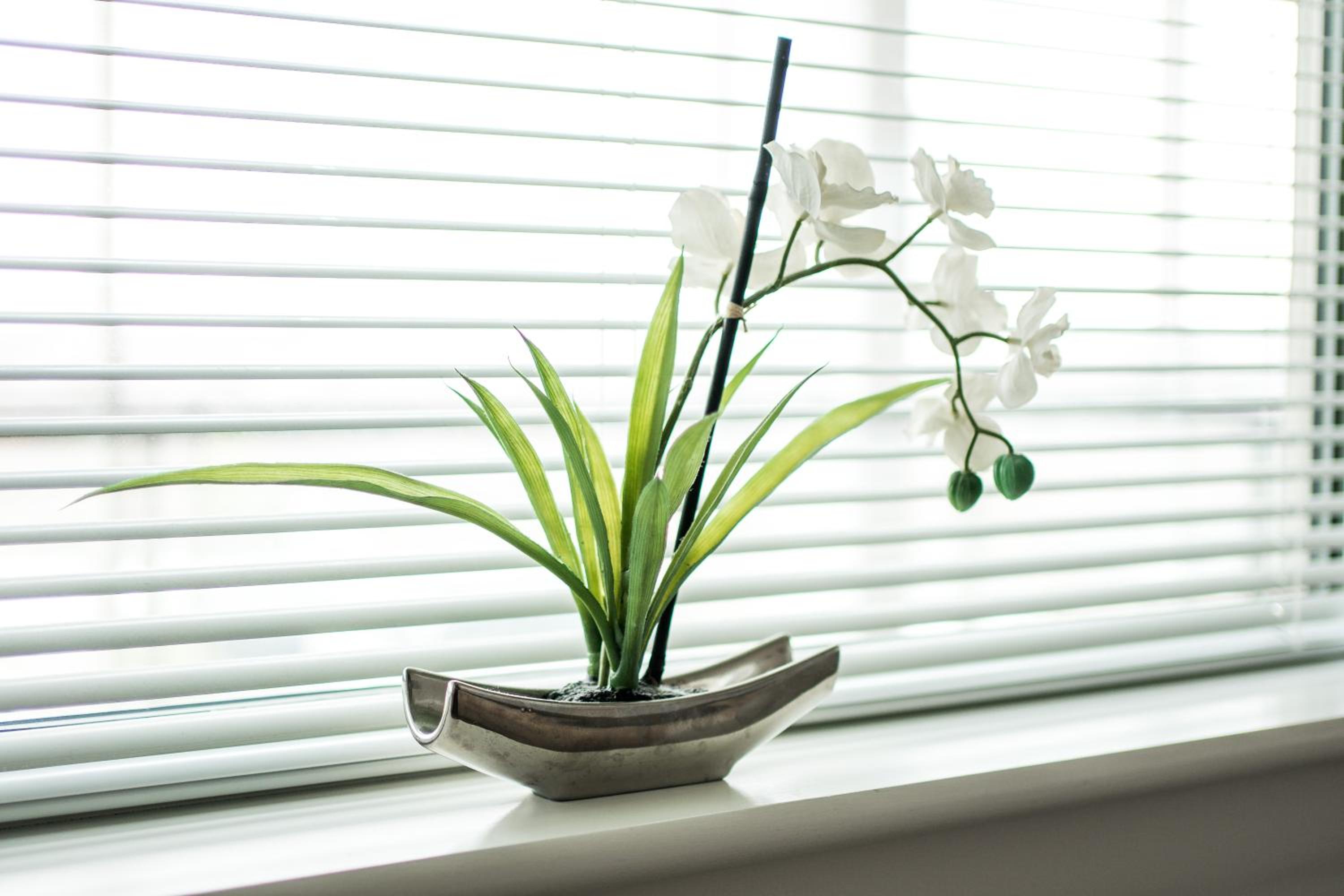 Canning town -2 bed Luxury Apartment
