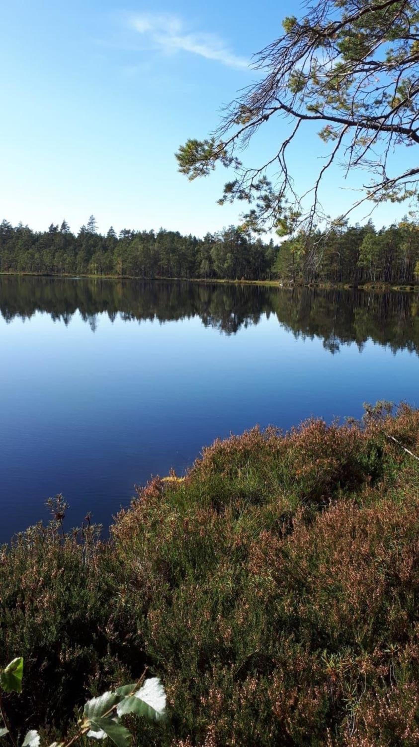 Stuga Bjurabygget