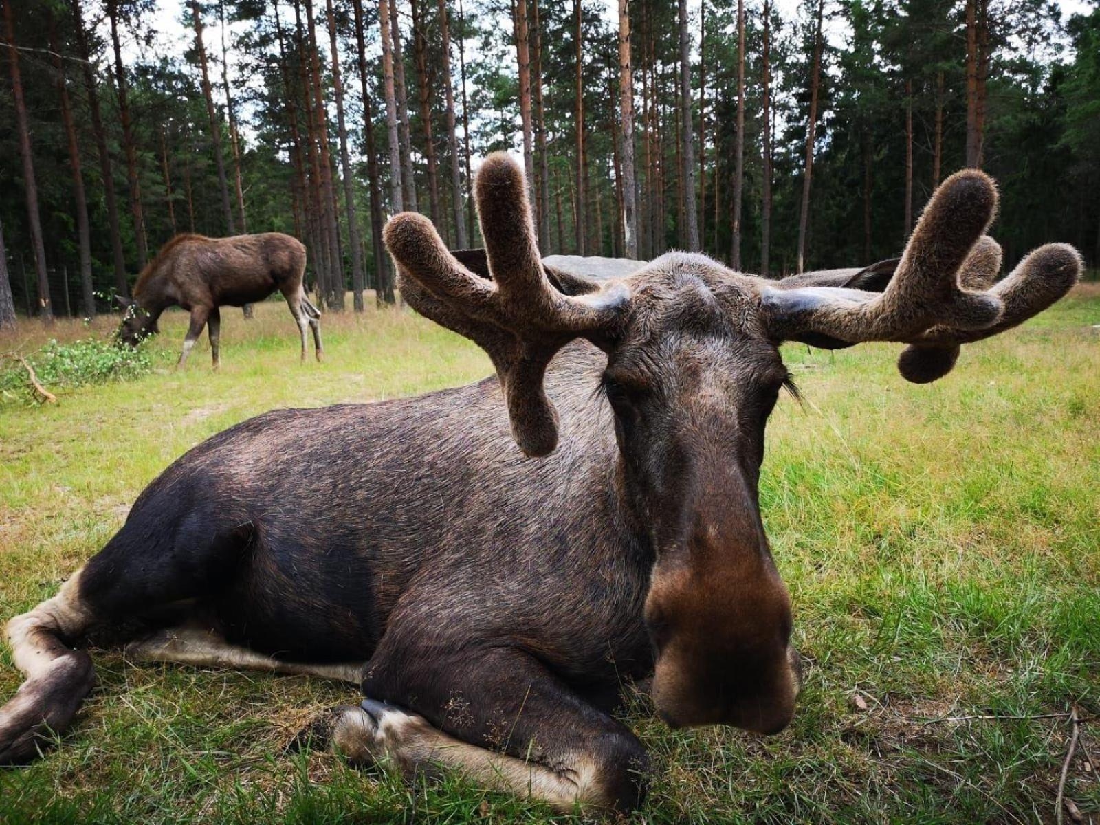 Stuga Bjurabygget