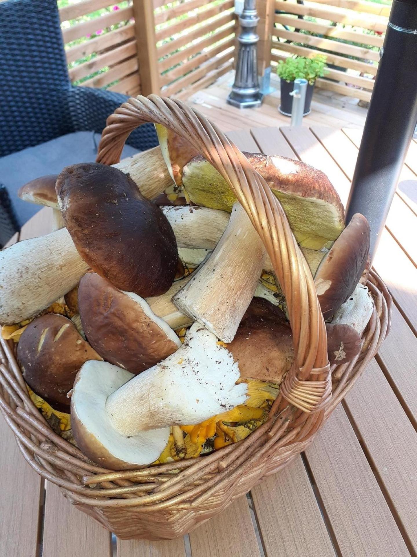 Stuga Bjurabygget
