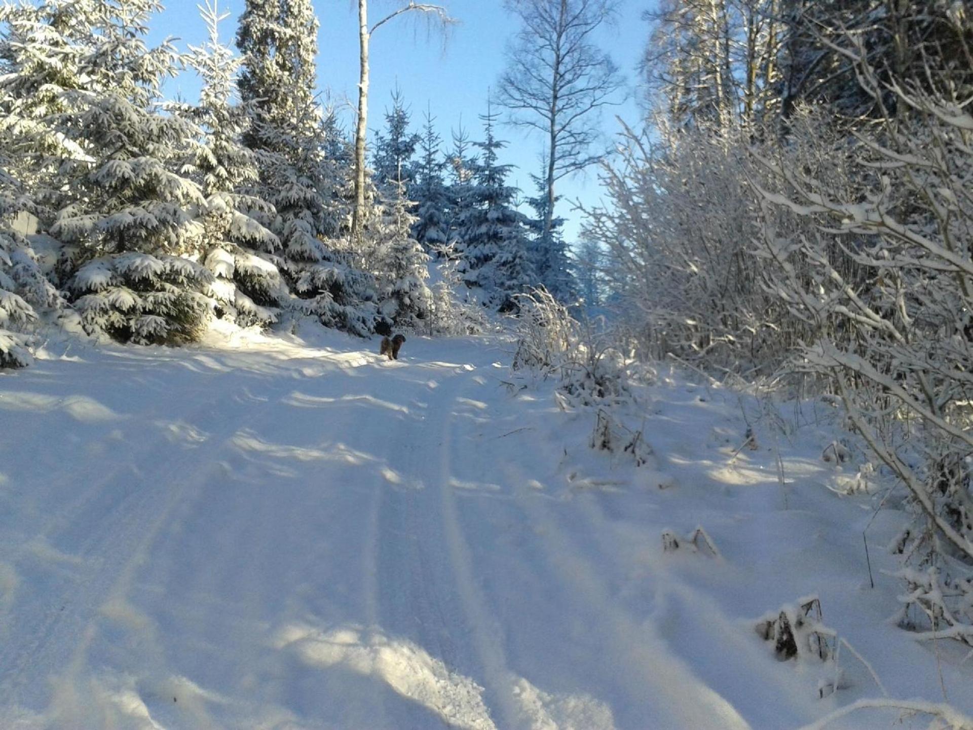 Stuga Bjurabygget