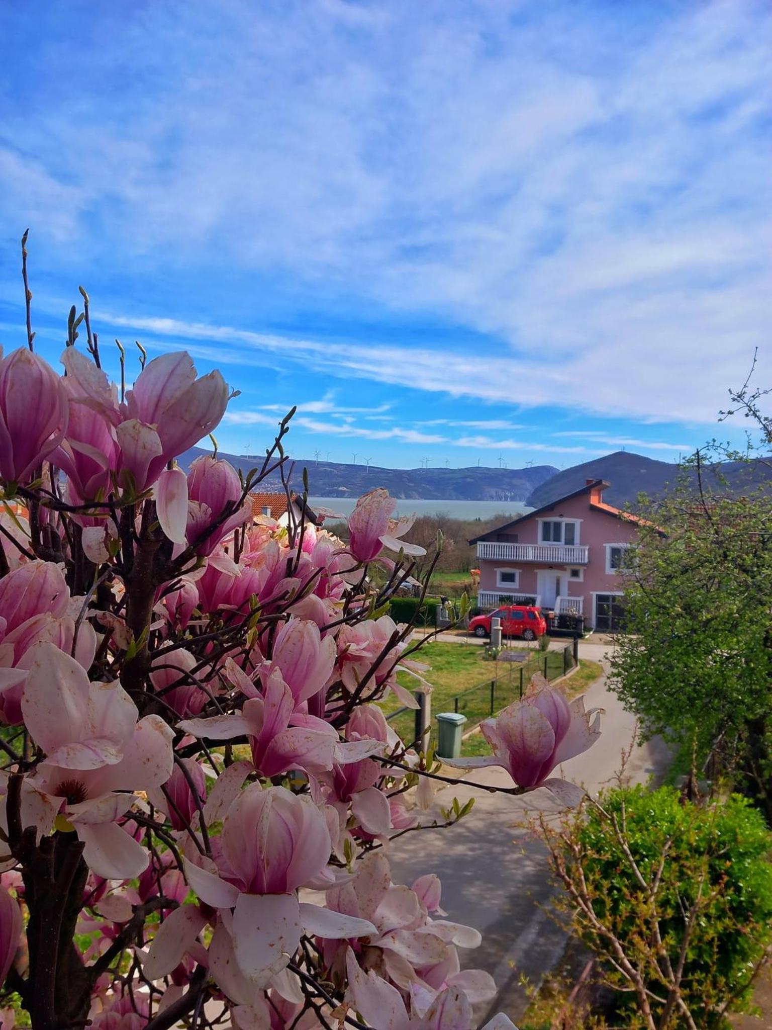 Apartman Aurora