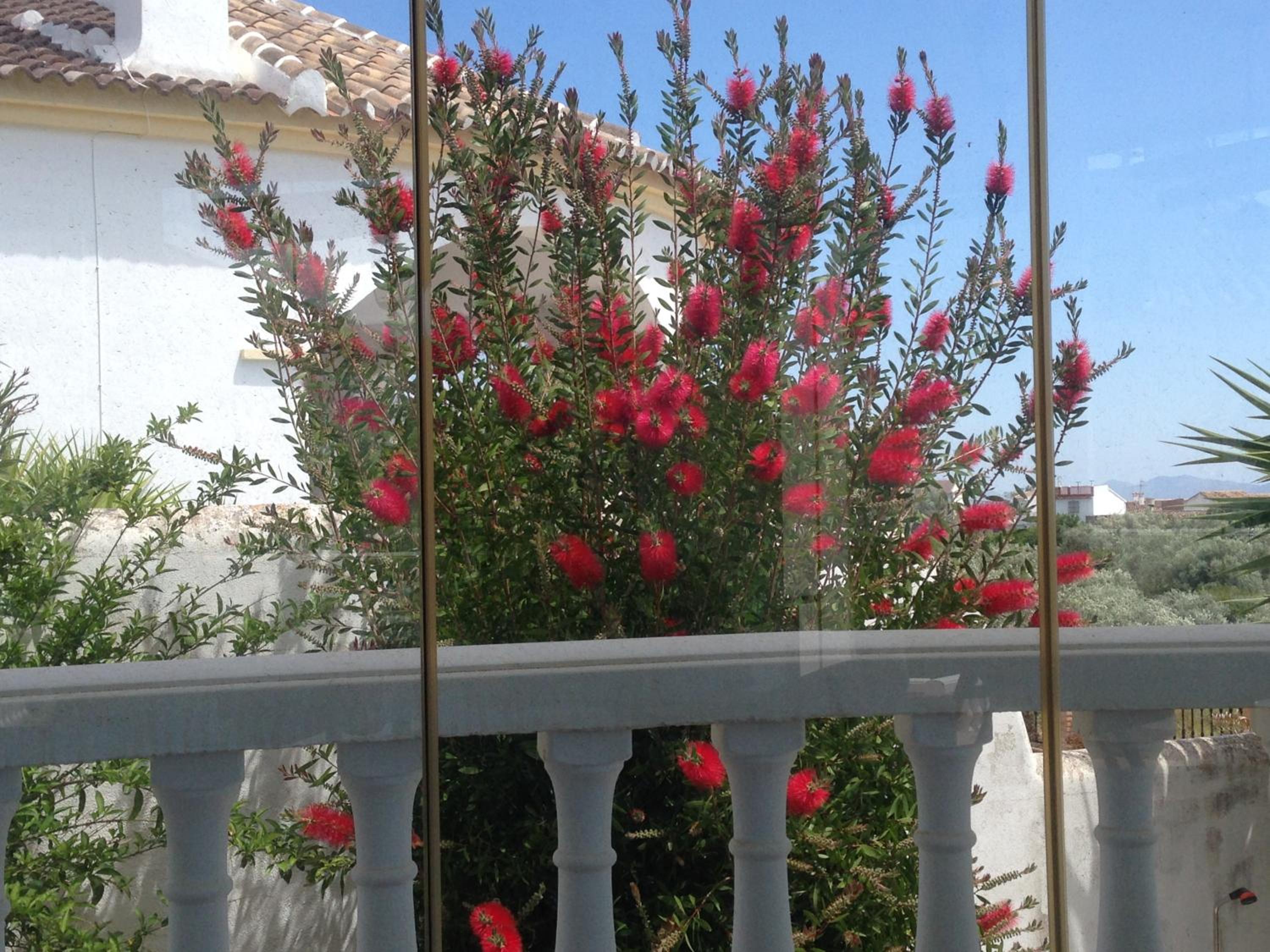 Villa Las Campanas
