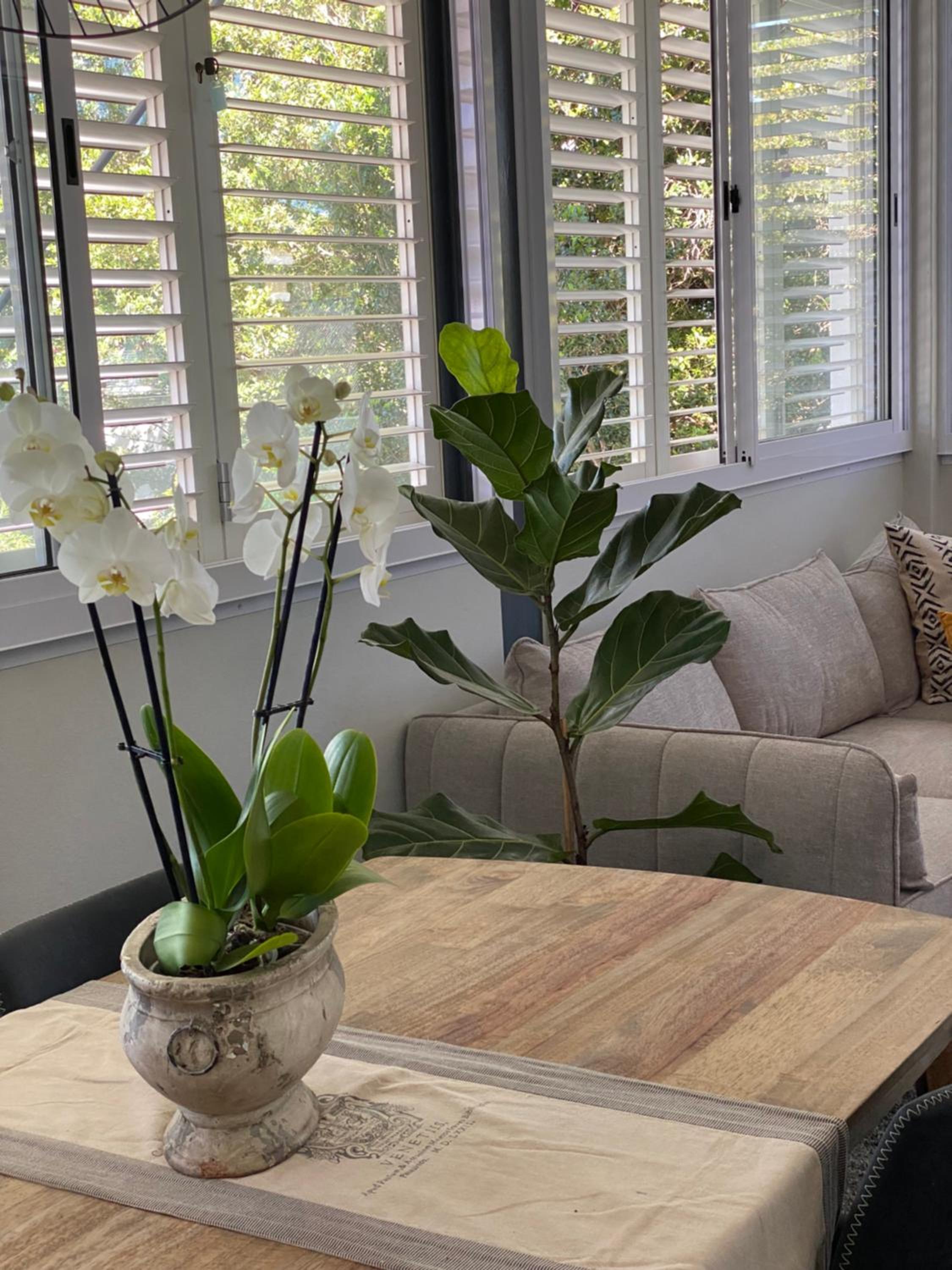 The Oak Suite - 7 on Murray Historic Stellenbosch view 3