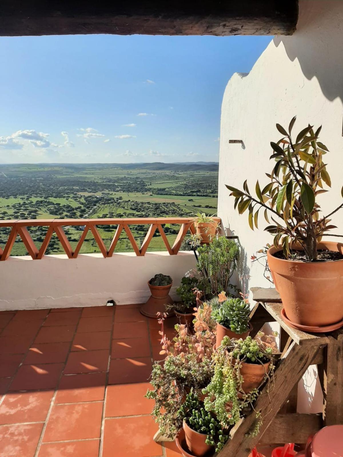 Casas Letizia e Sebastião