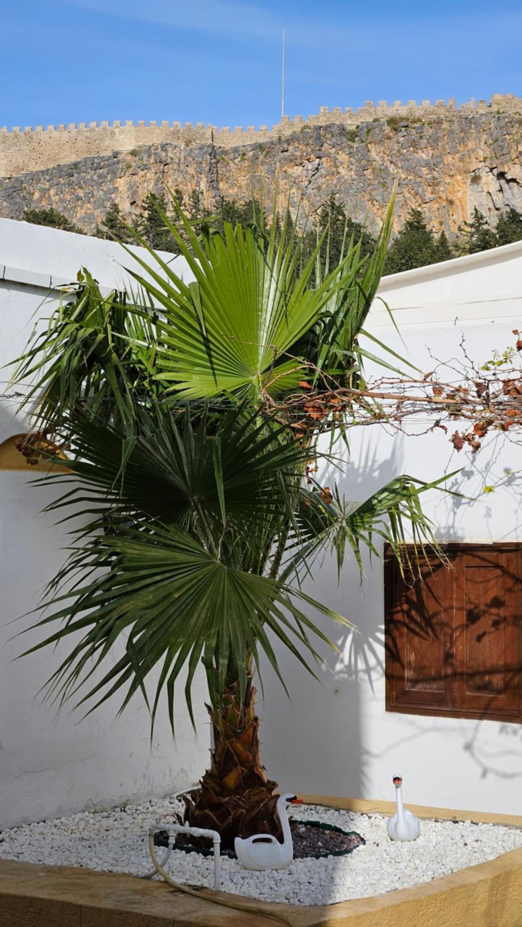 ASTORIA lindos