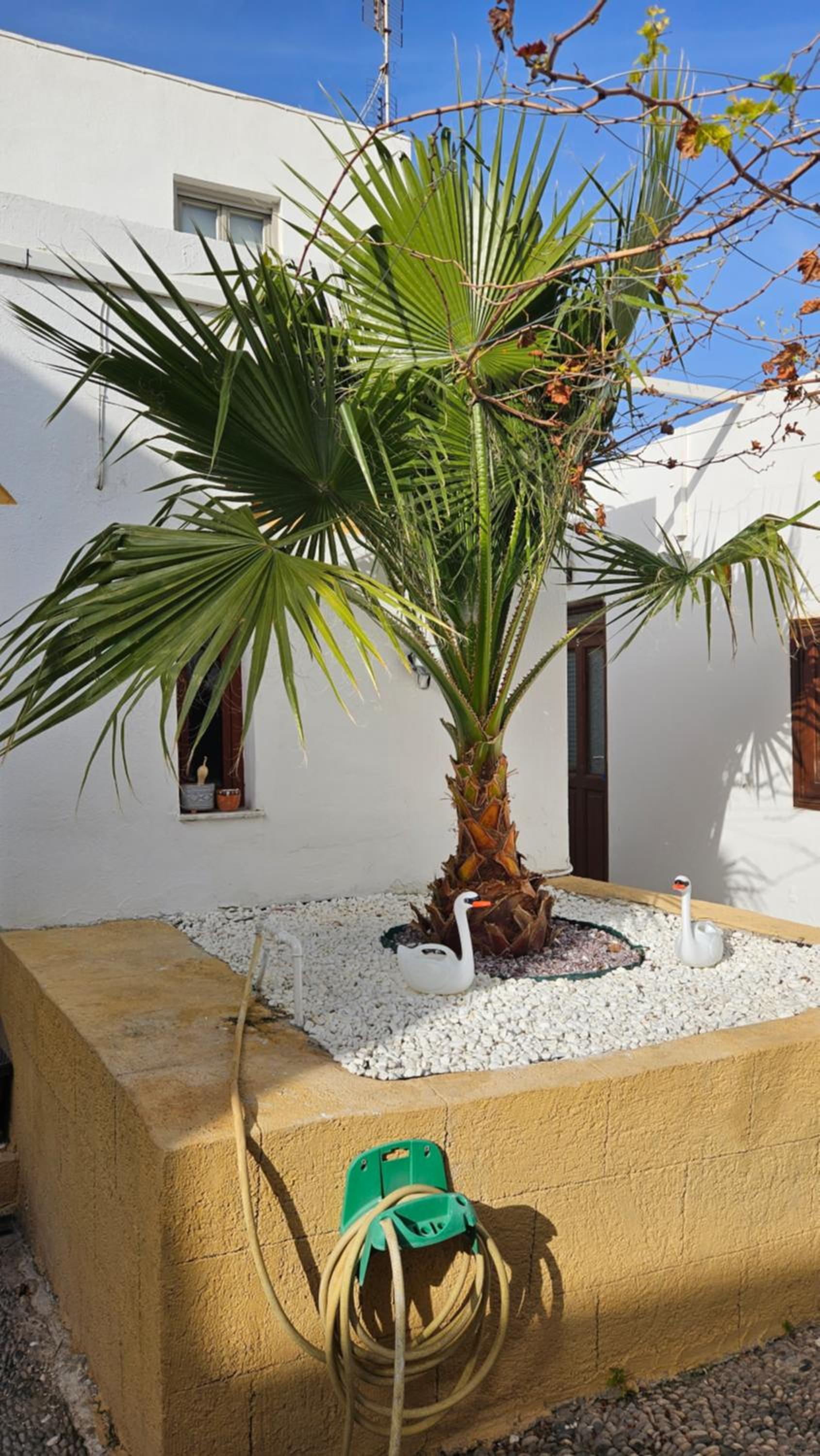 ASTORIA lindos