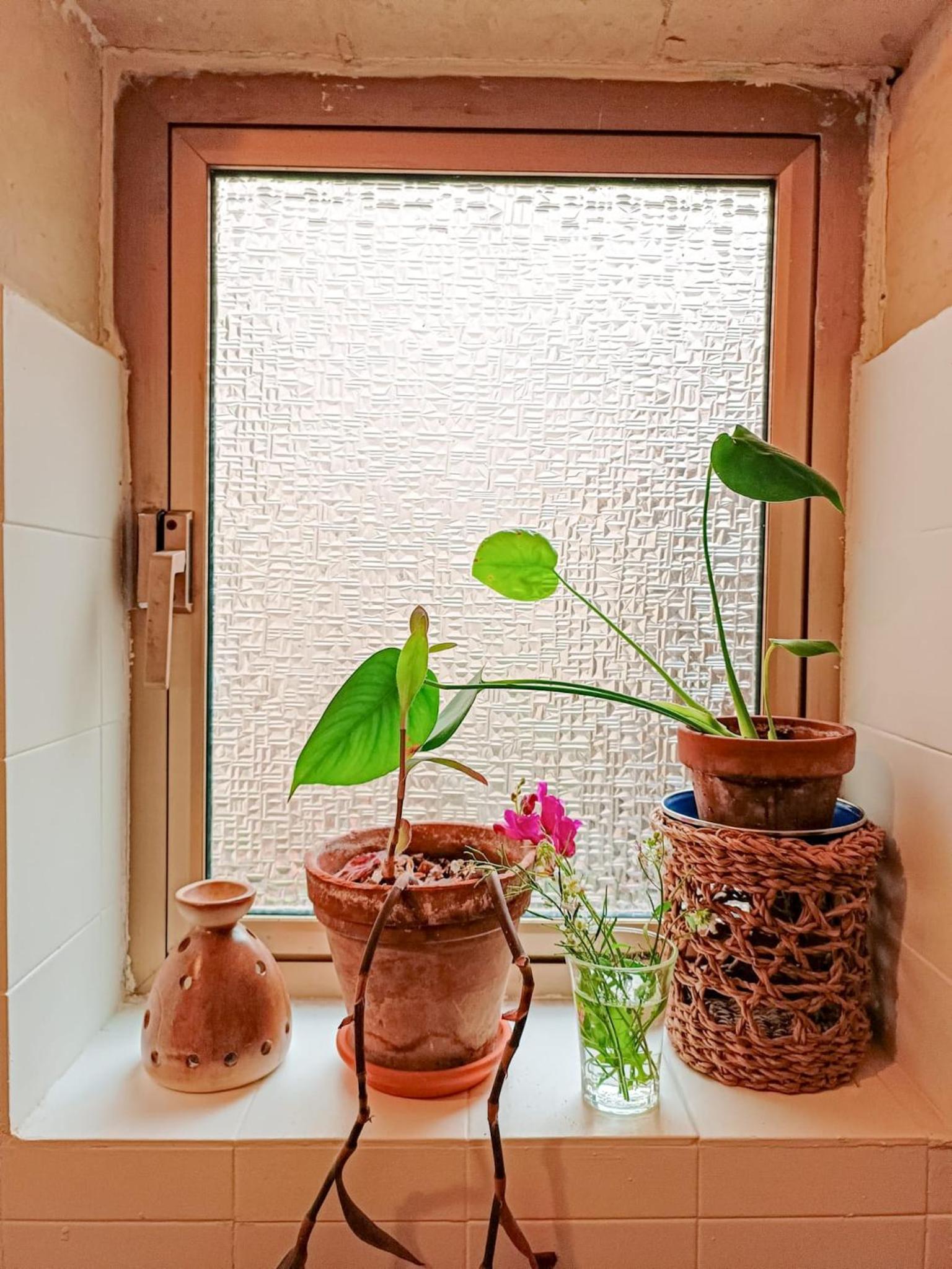 Cute Townhouse in Maltese Village Close To St Peters Pool