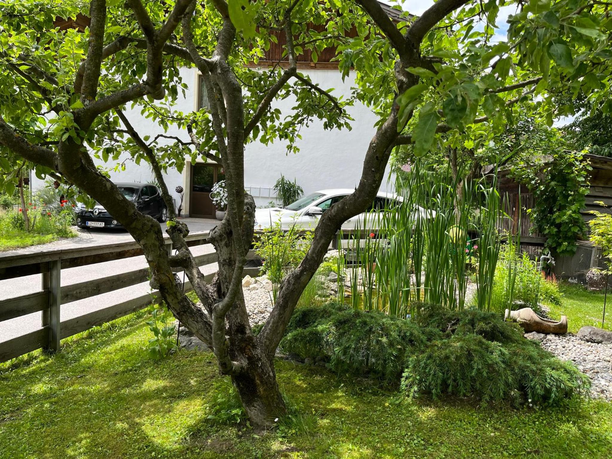 Bergmanns Ferienapartment