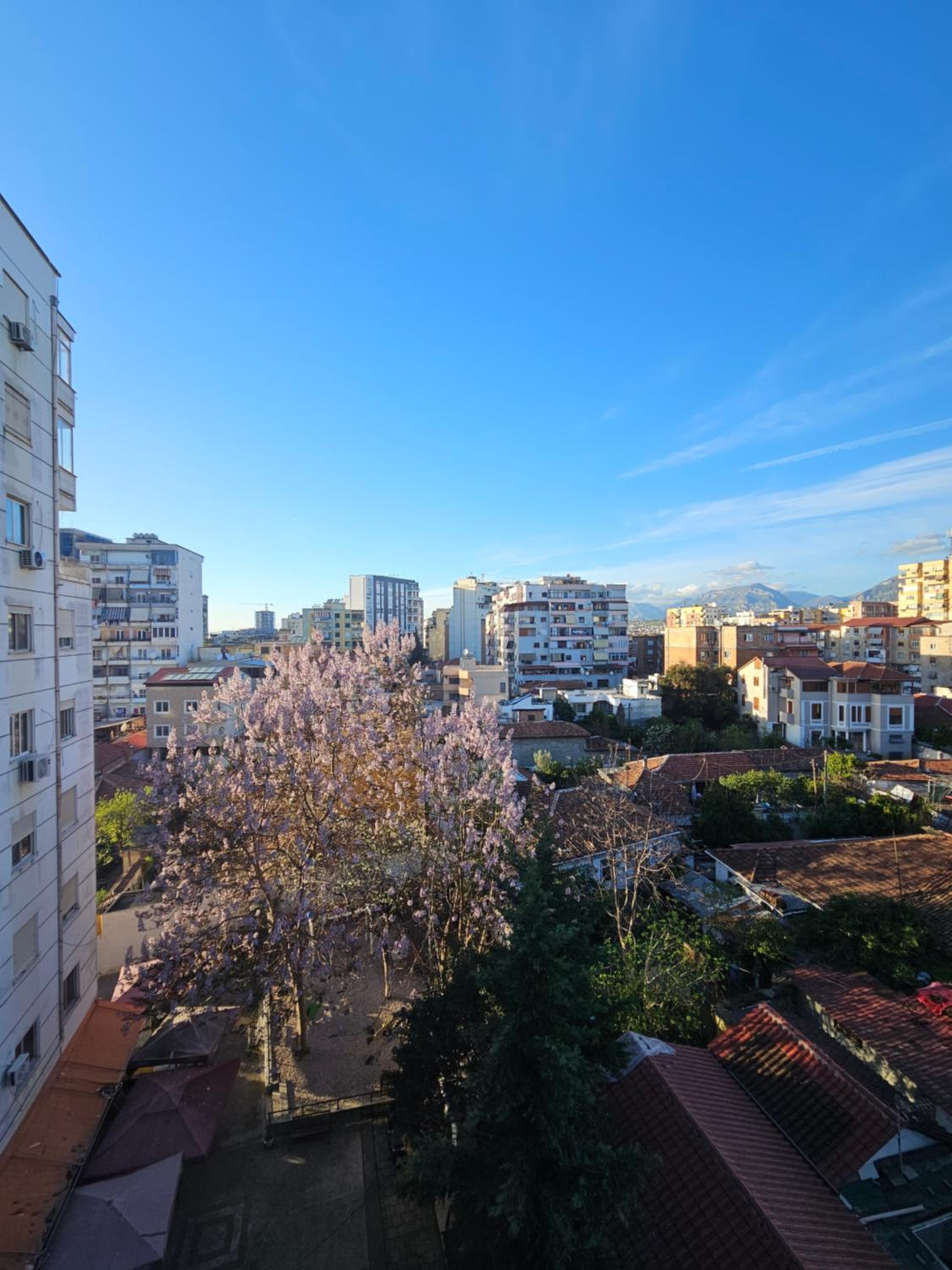 Xplore Xpress • Center Apartment
