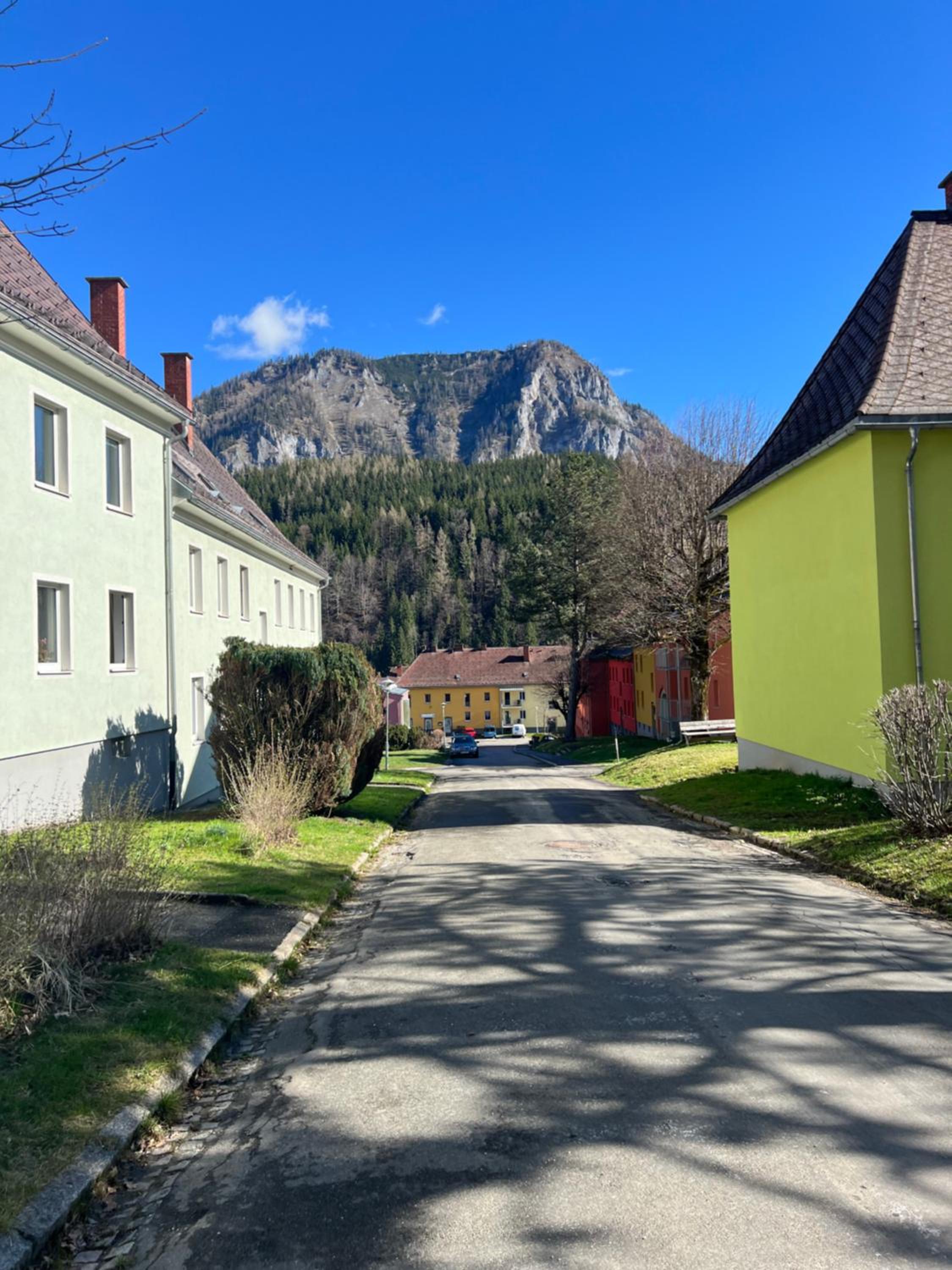 Eisenerz Alpine Apartement RoSy