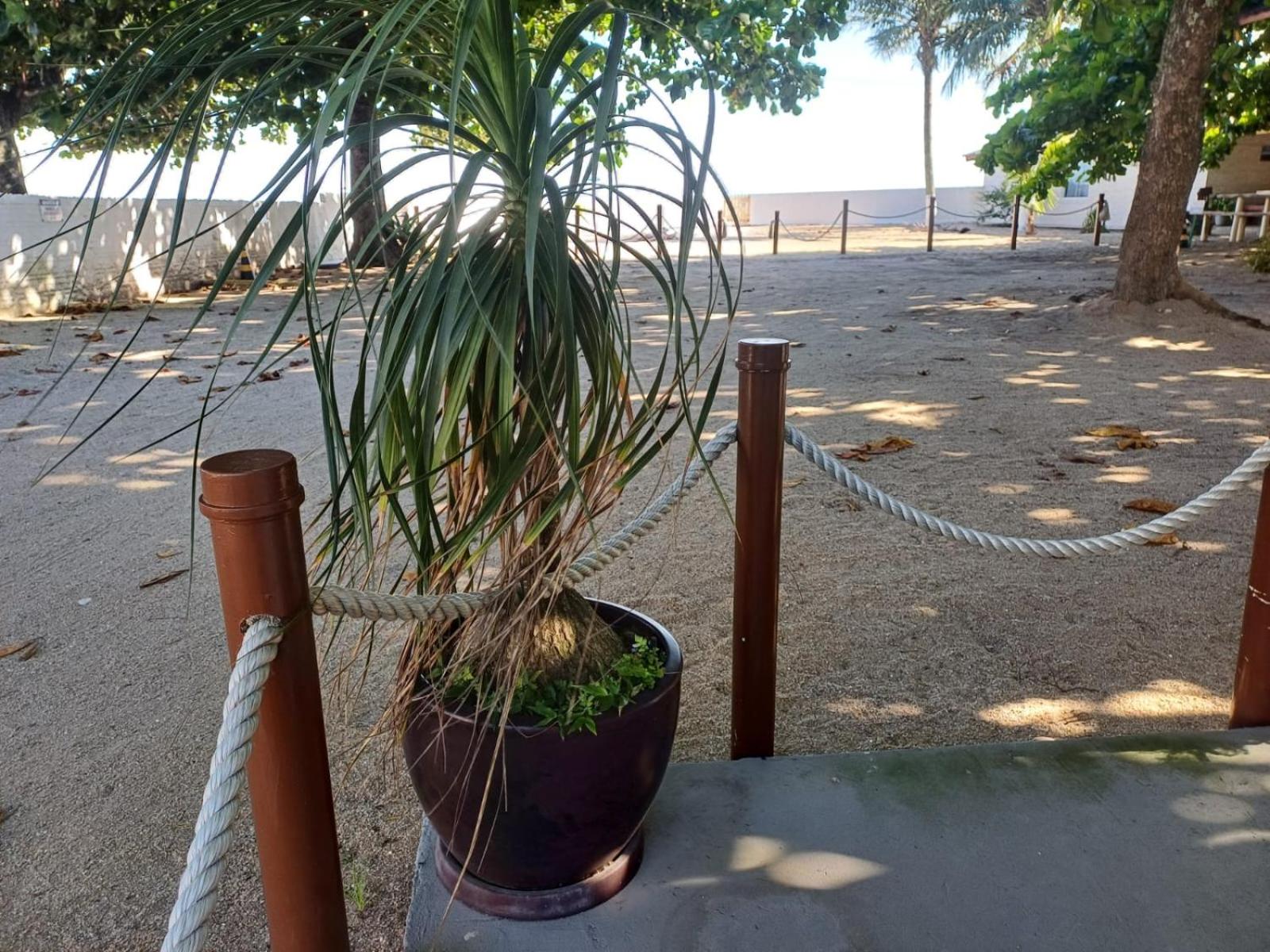 Caminhos do Ribeirão - Casa de Frente para o Mar