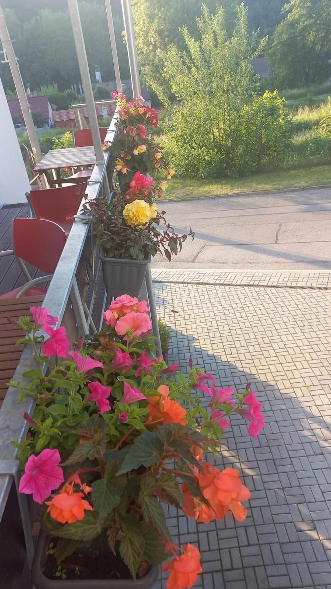 Pension SALMA