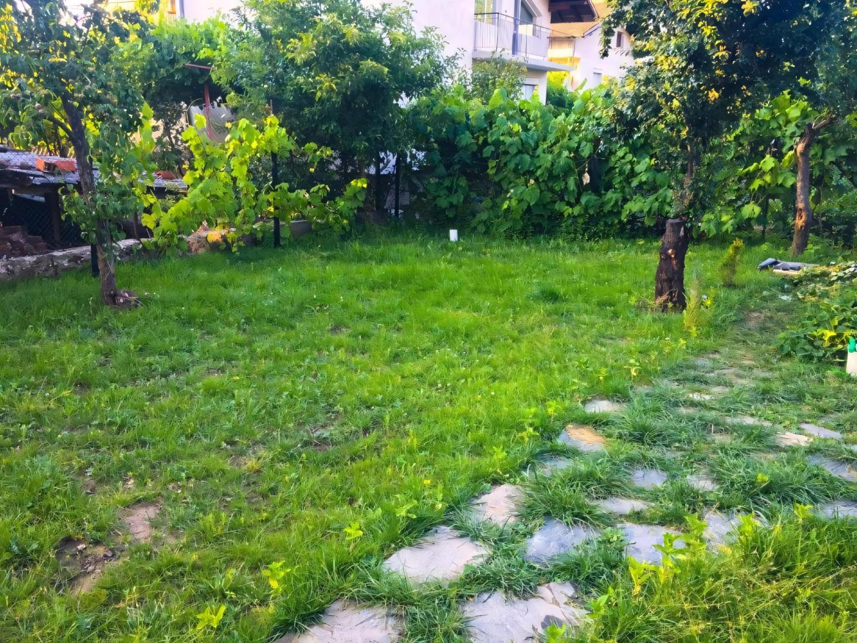 Alpin Guest House