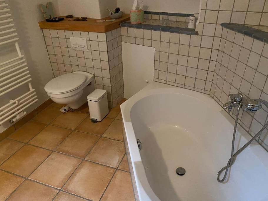 Toplage (!) Altstadthaus (!) Wohnung+Garten
