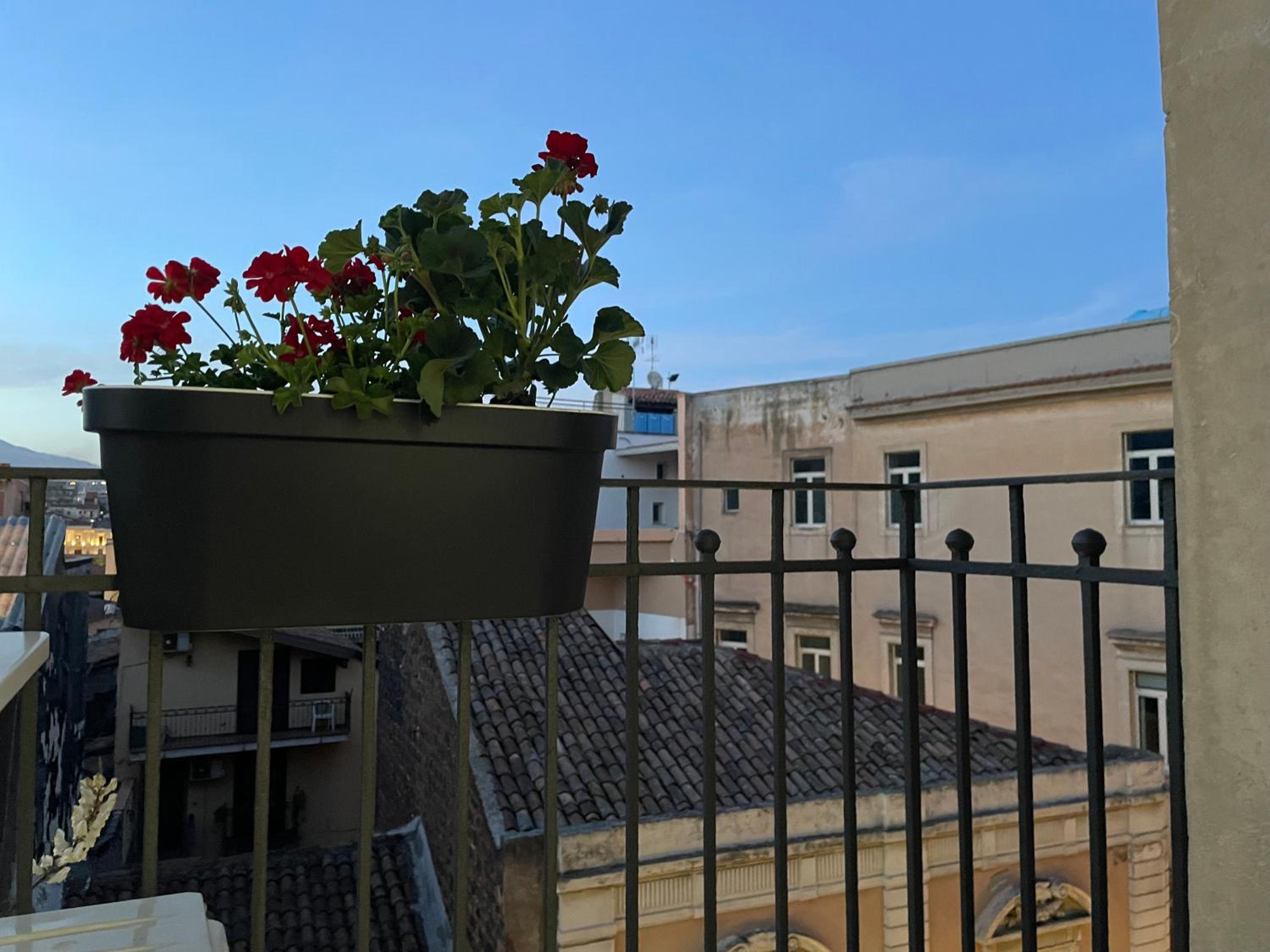 Photo 108