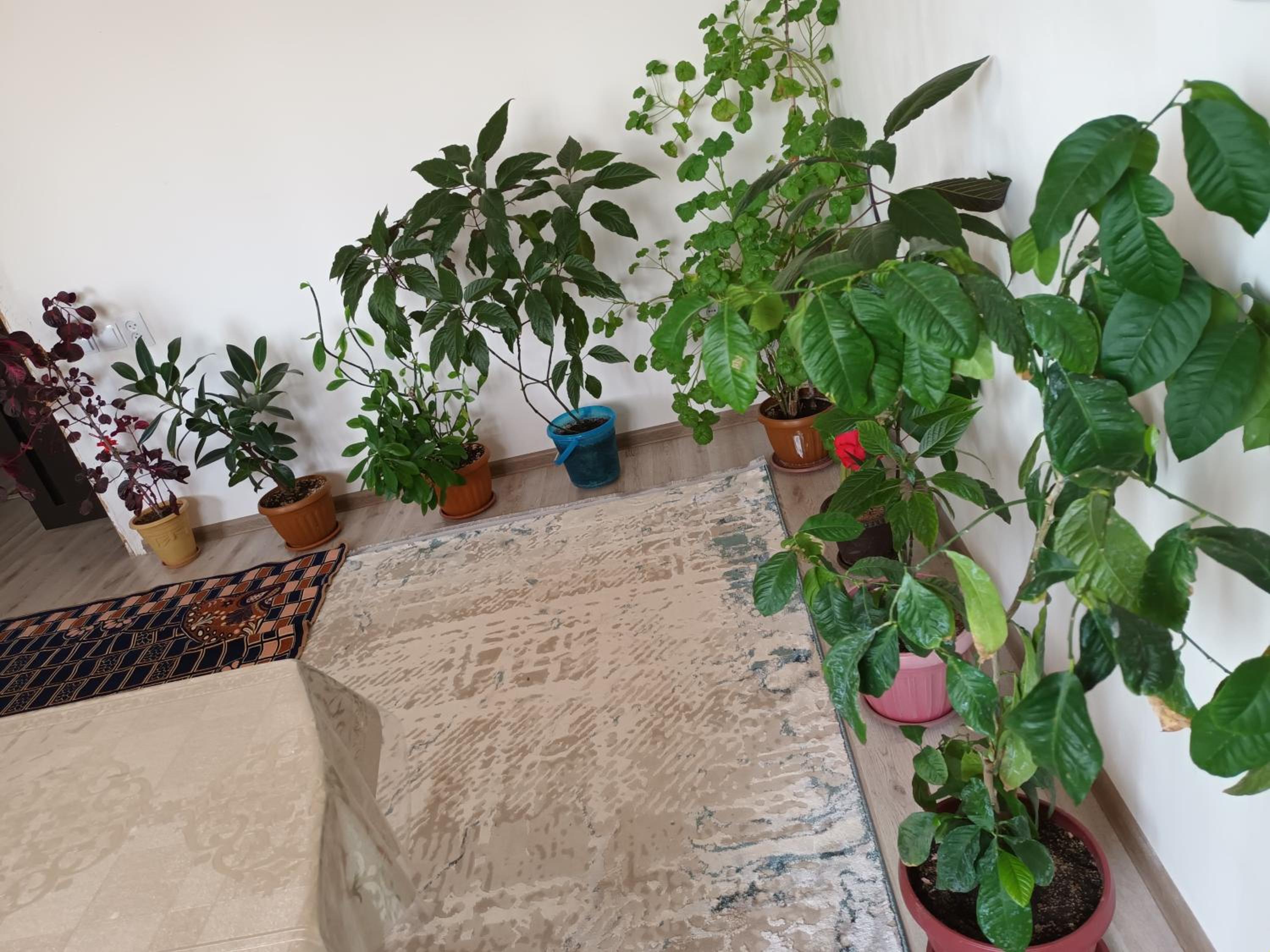 Guest Houst Akkyya