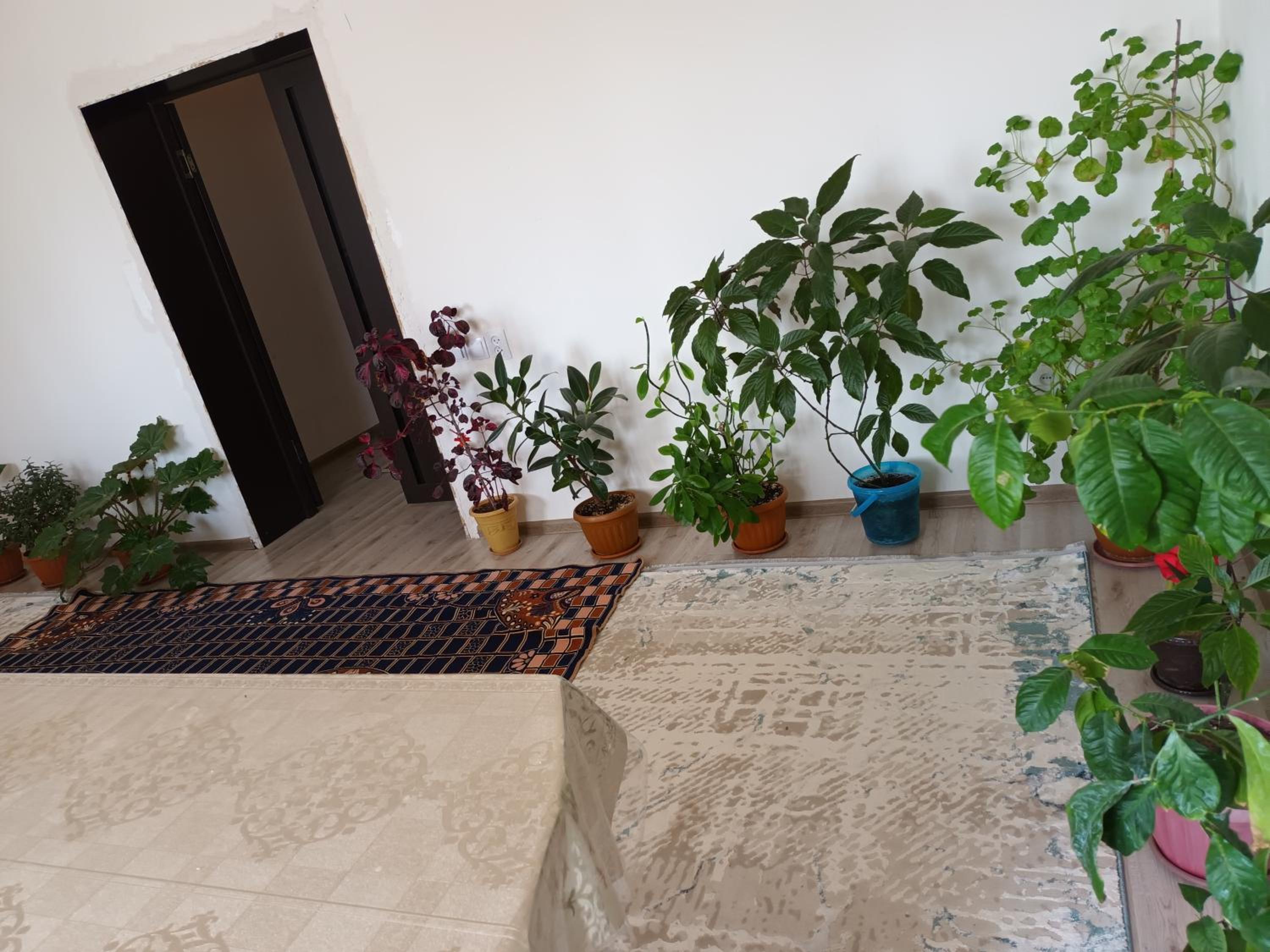 Guest Houst Akkyya