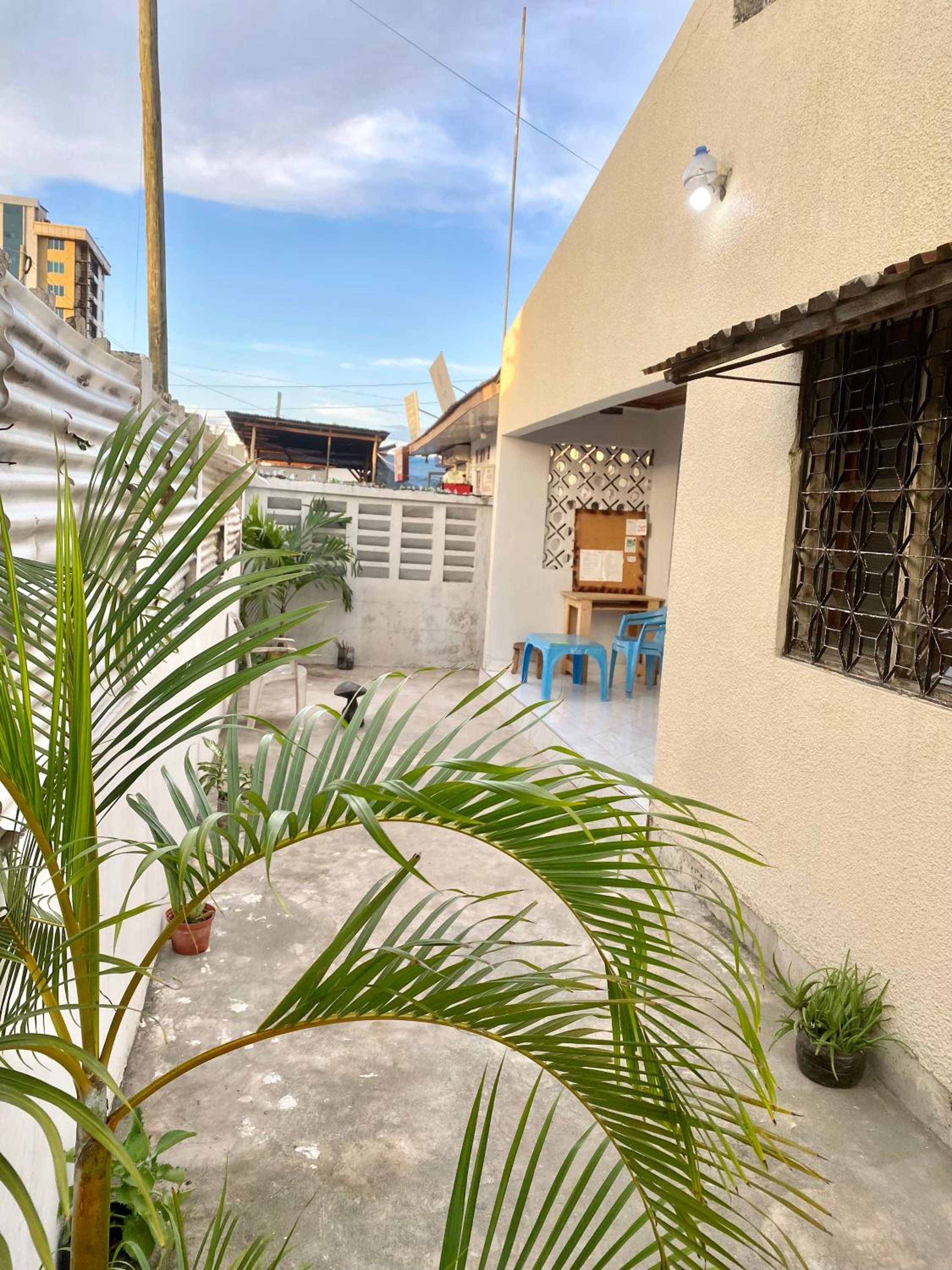 The Nest Haven Hostel - main view