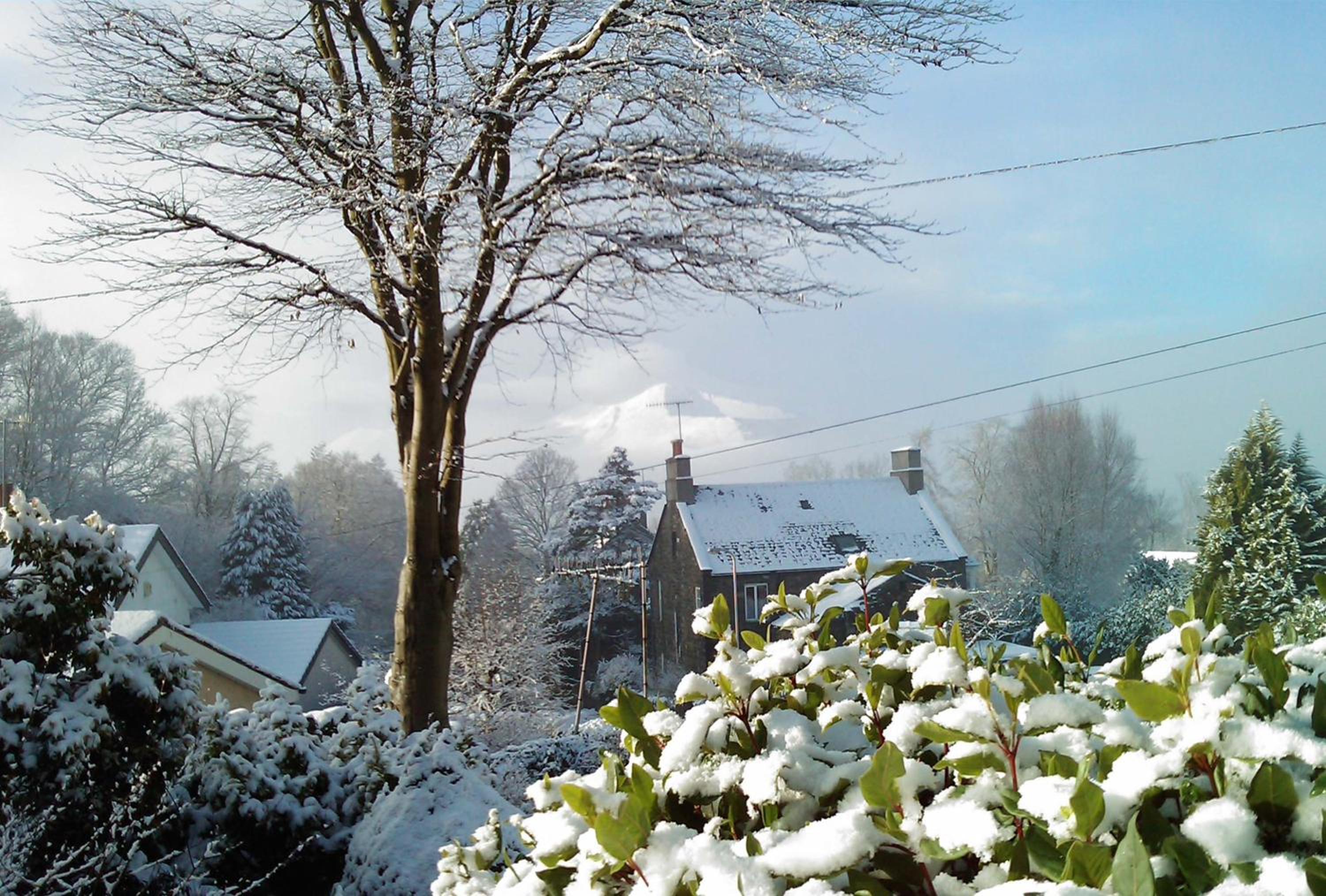 Pinecroft
