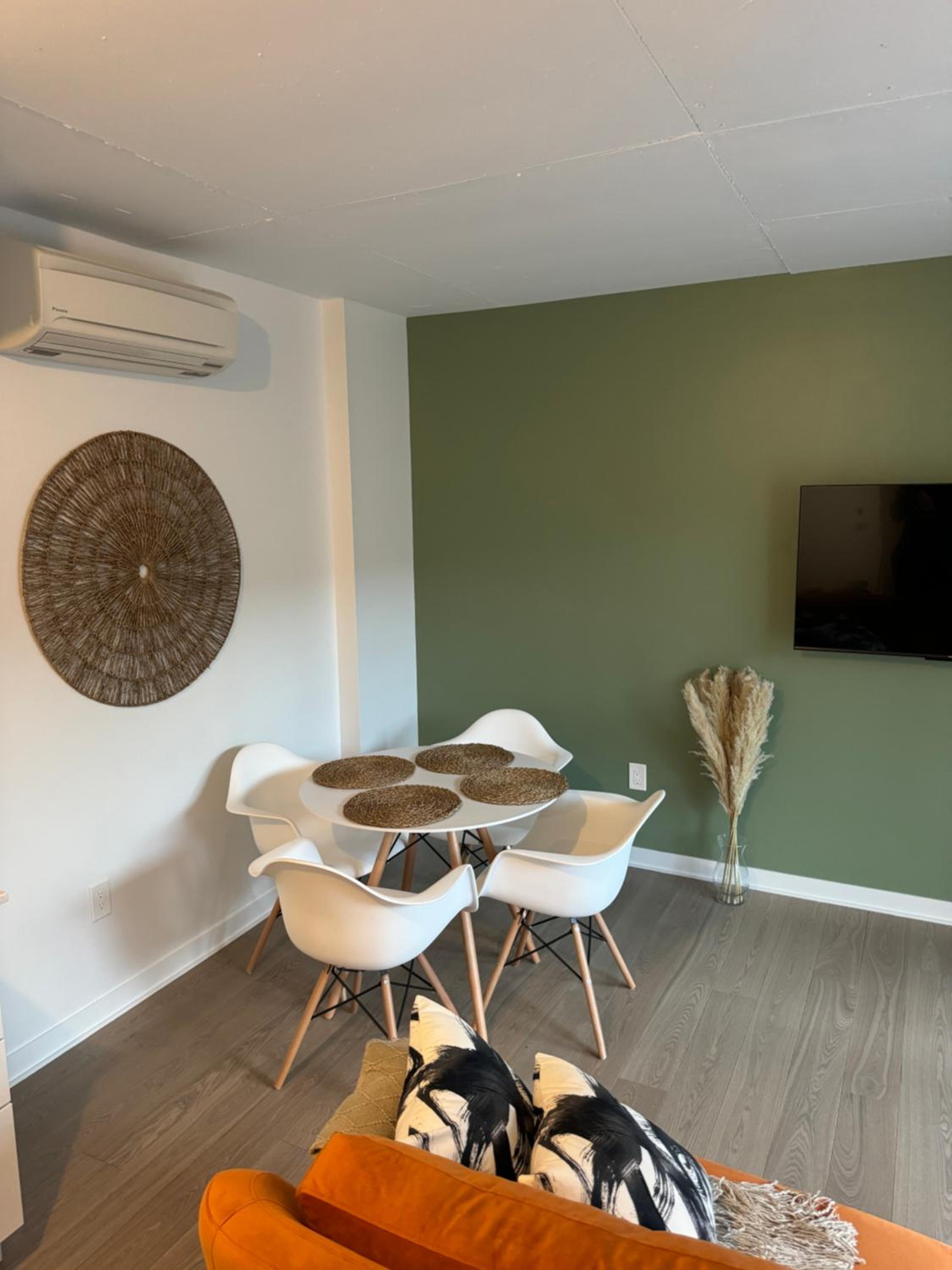 Beautiful and cozy new condo in downtown
