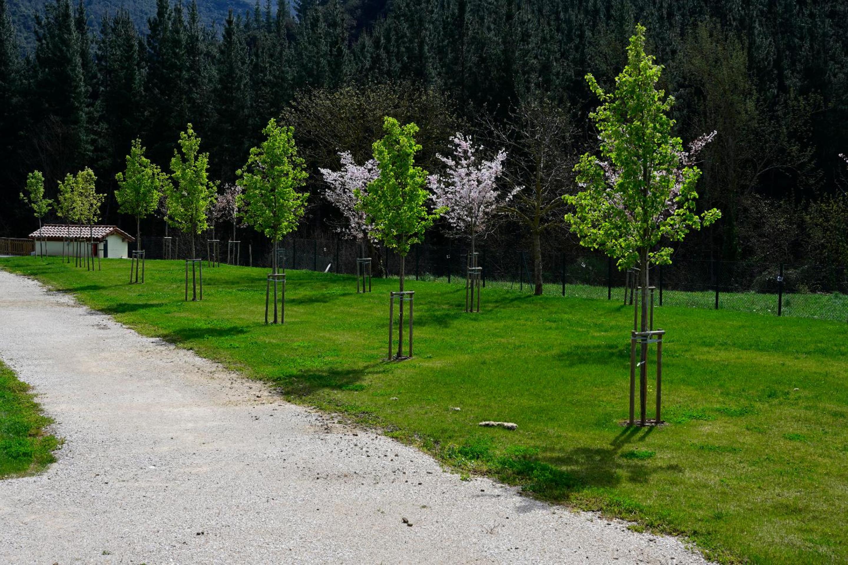 Camping Liébana