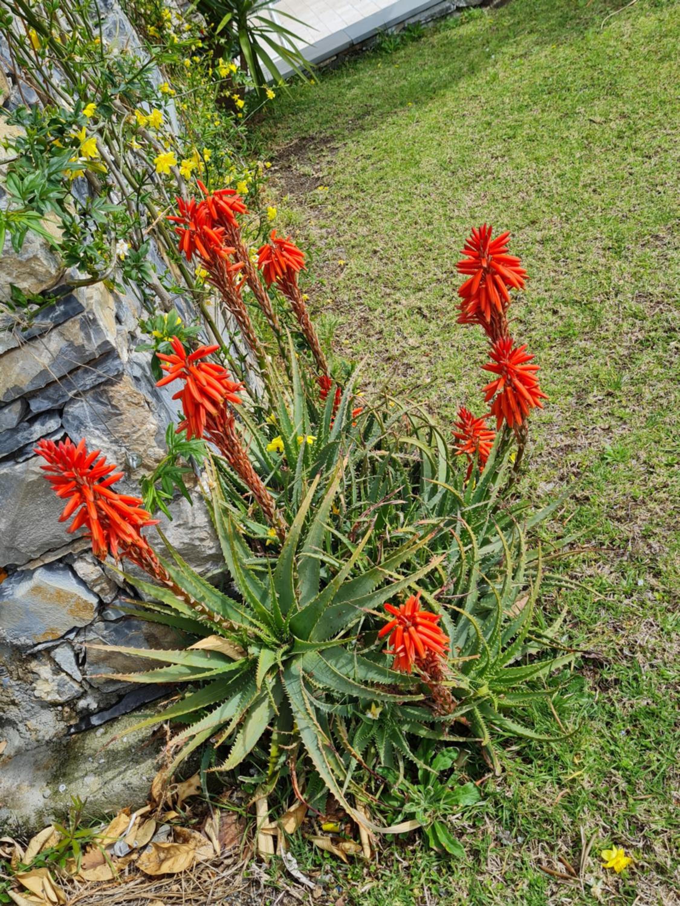 Photo 23