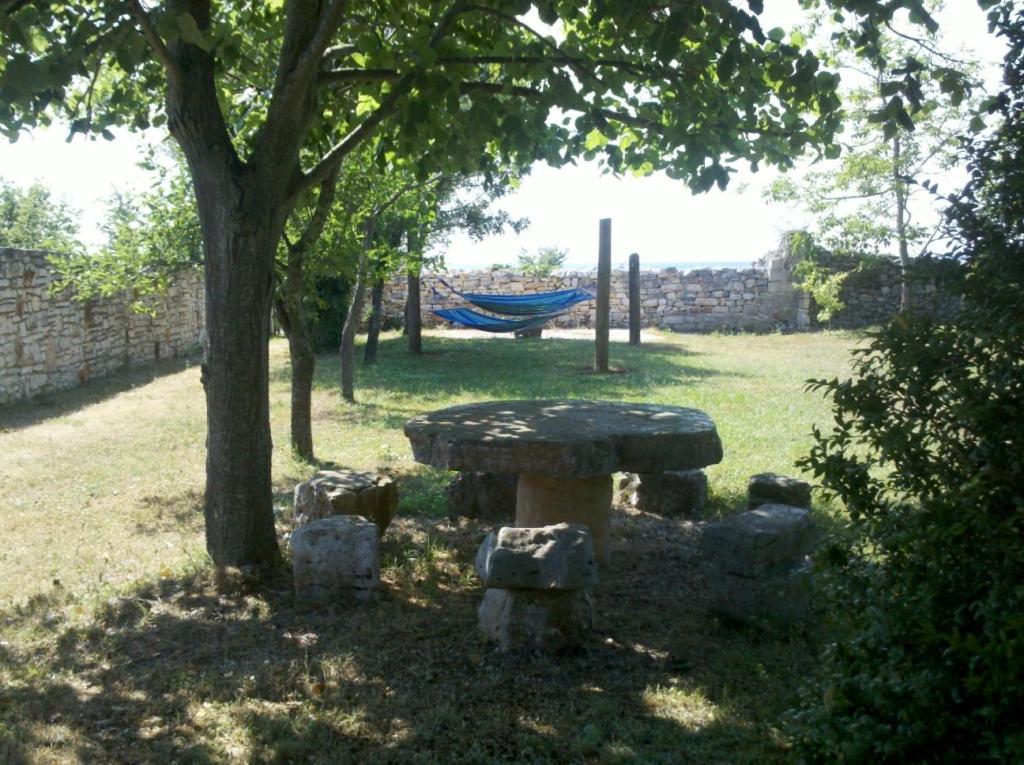 Photo 42
