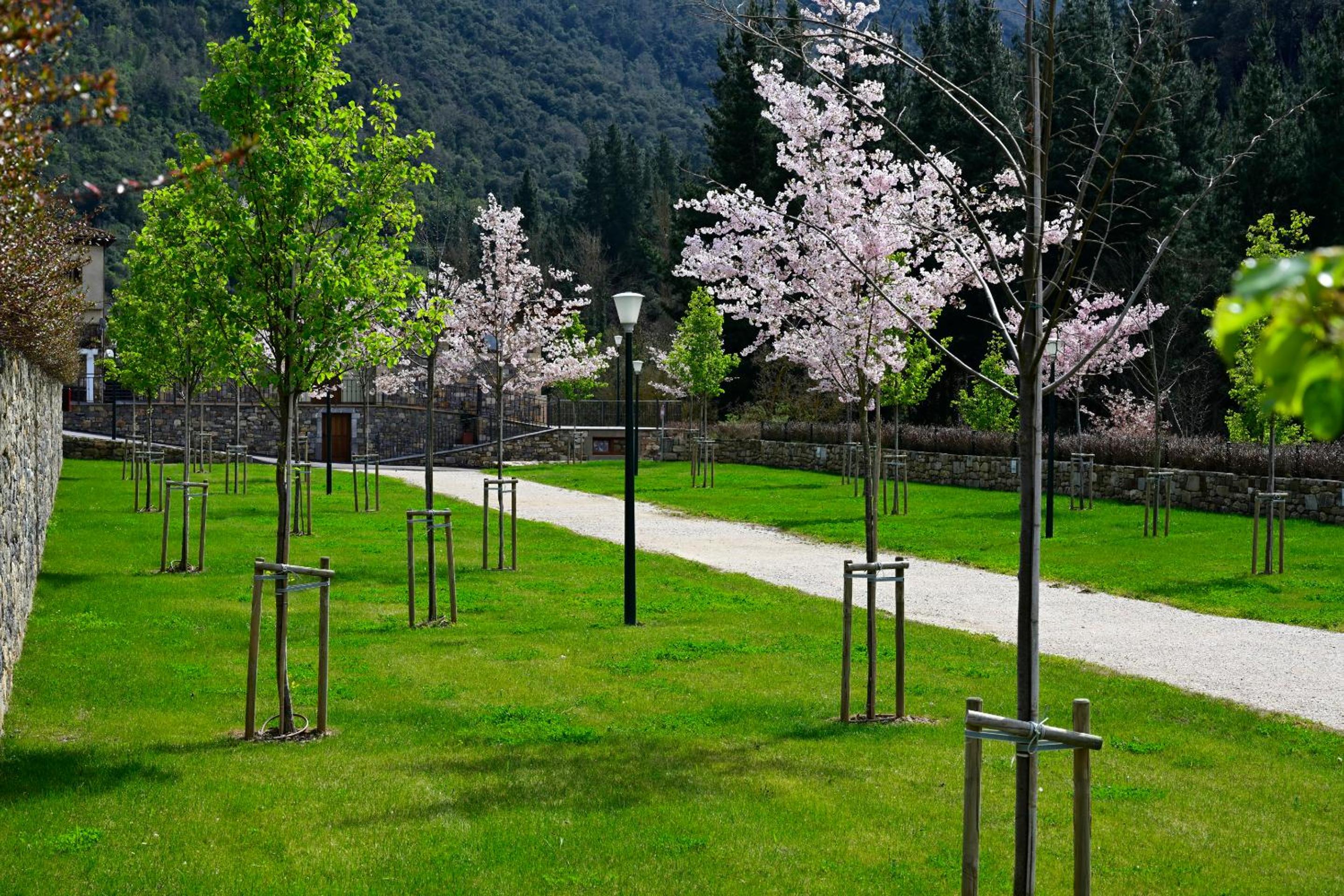 Camping Liébana