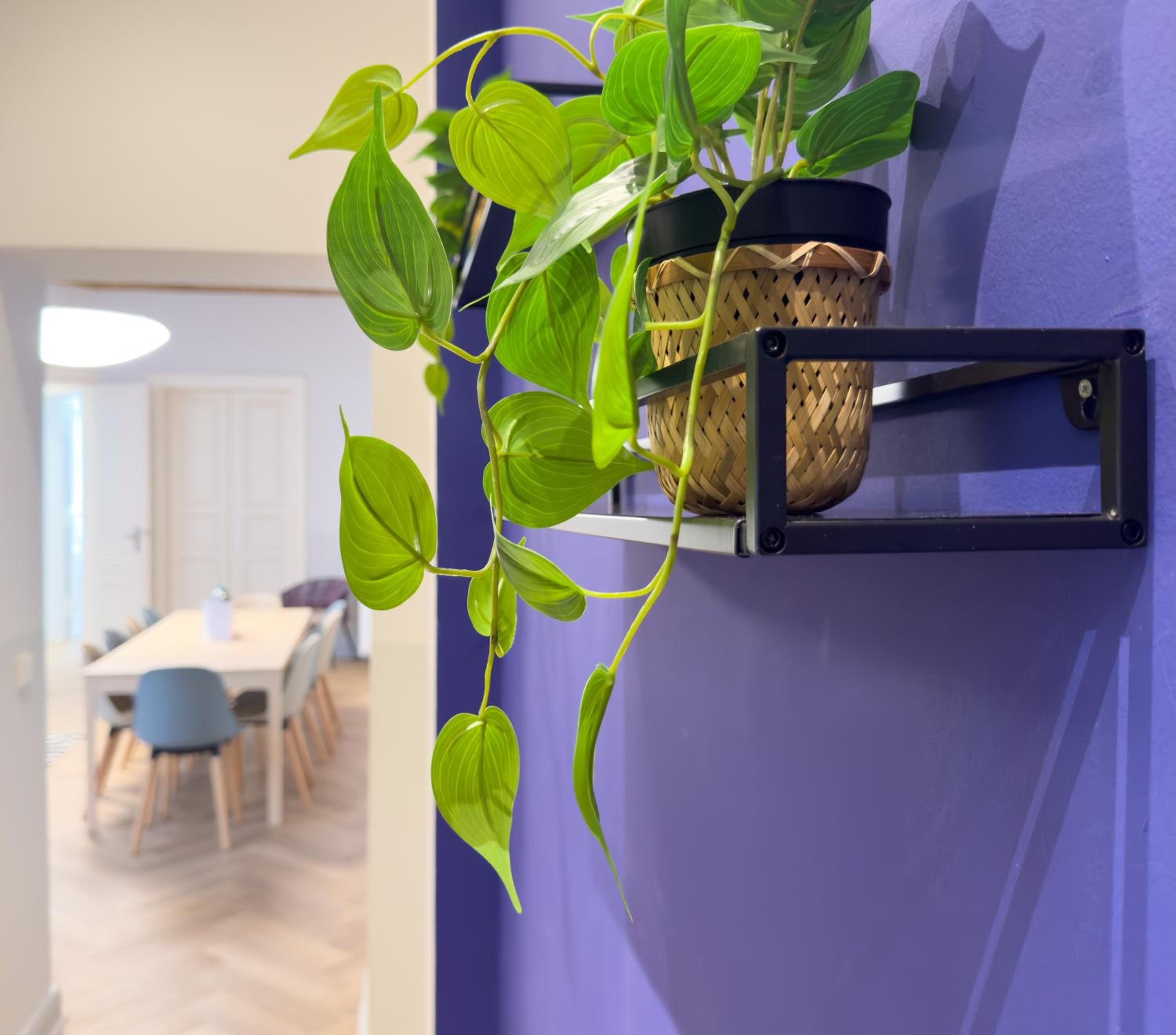 Dilo Apartments 150 sqm Modern Historic Apartments for 12 Guests