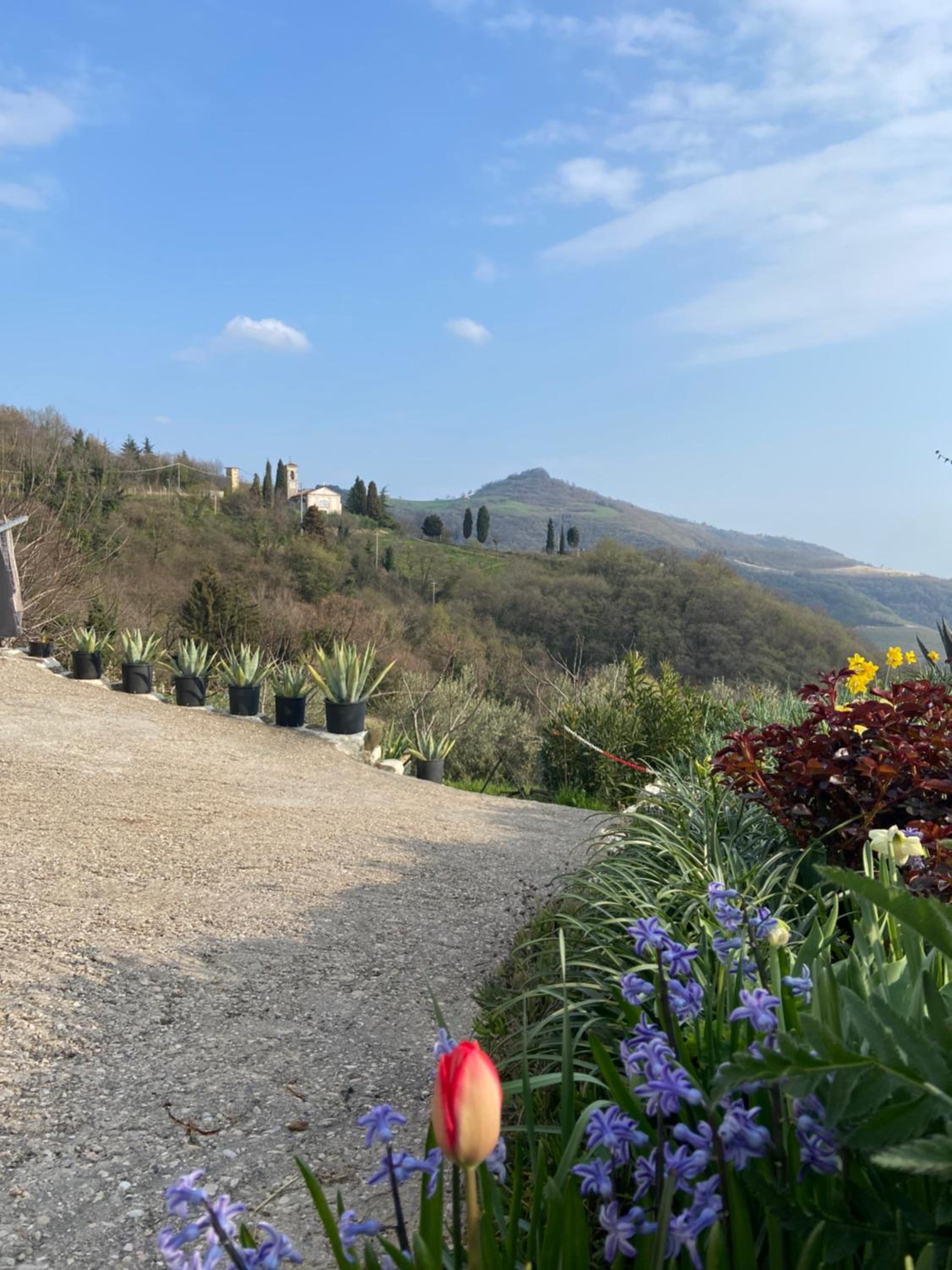 Casa Finetti view 4