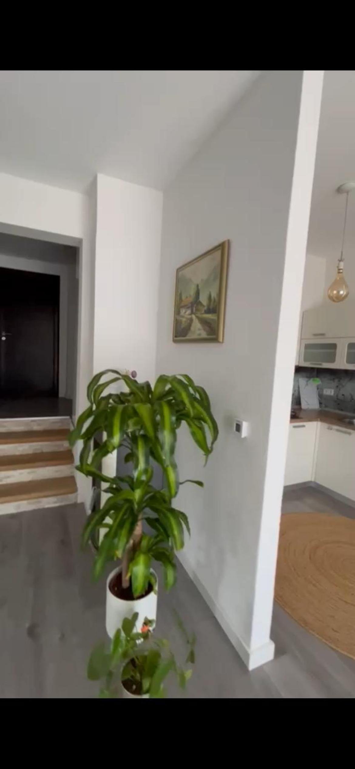 Apartmani nicole
