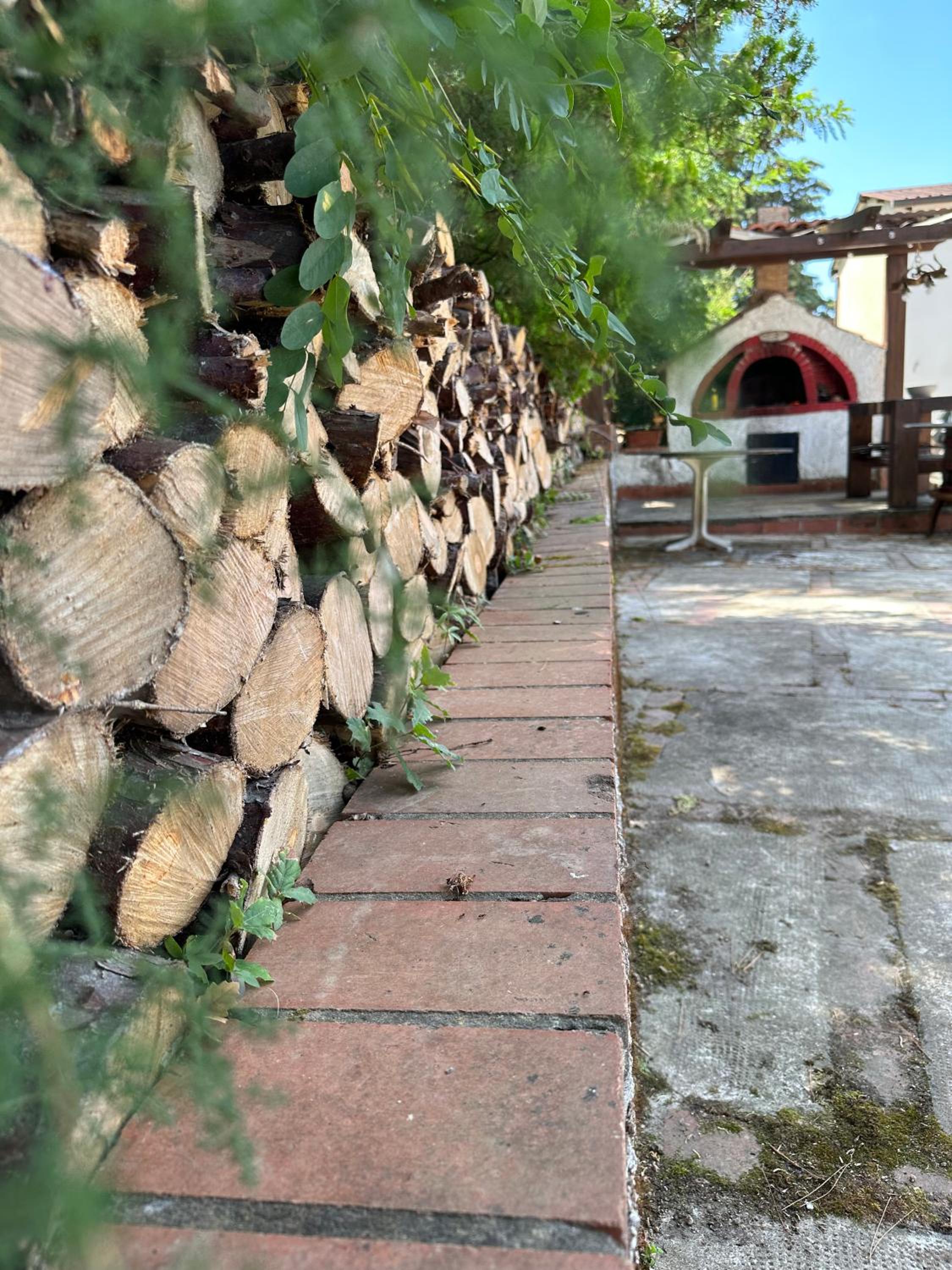 Photo 43