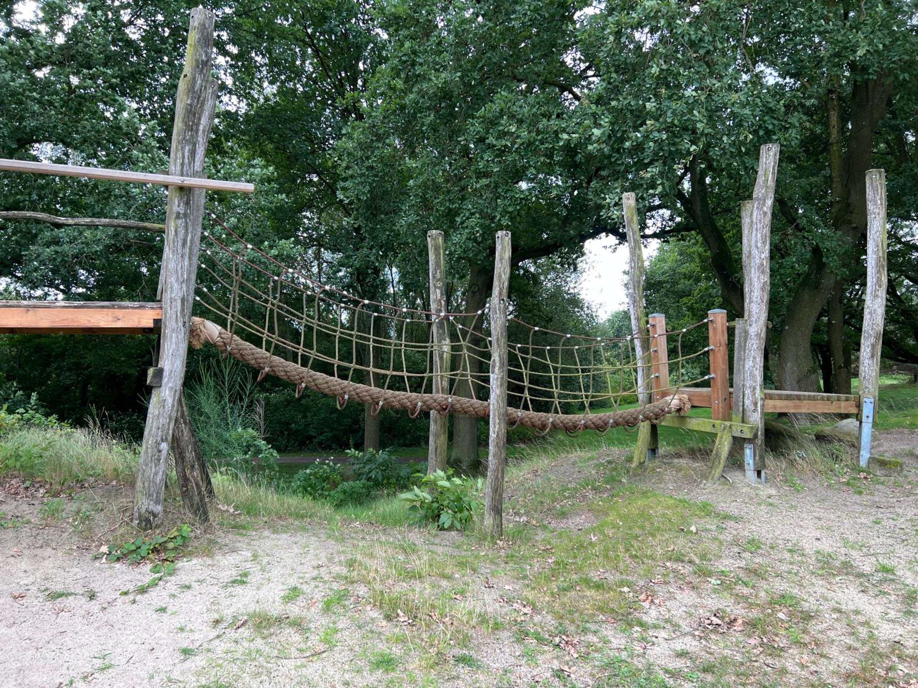 Photo 42
