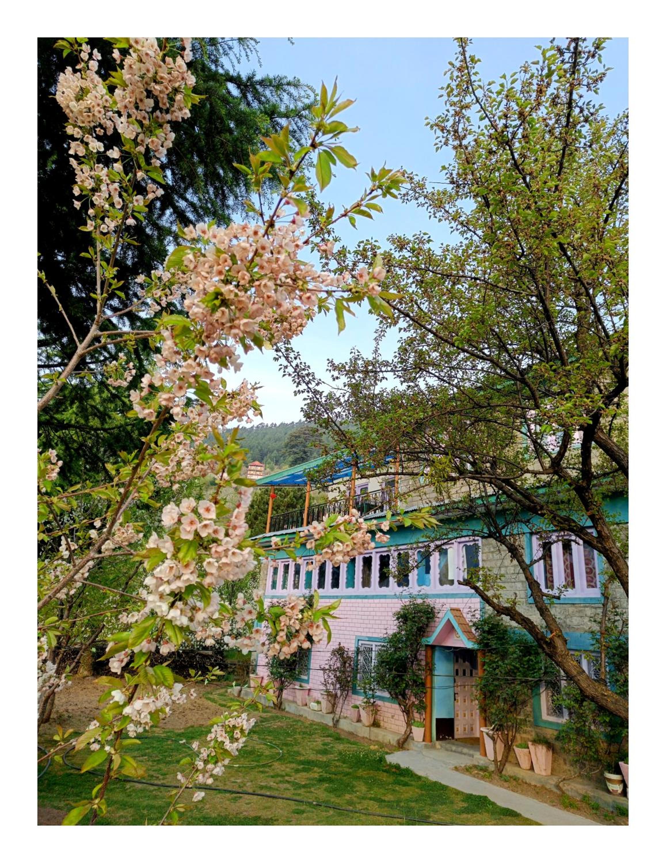 Farmvilla Homestay