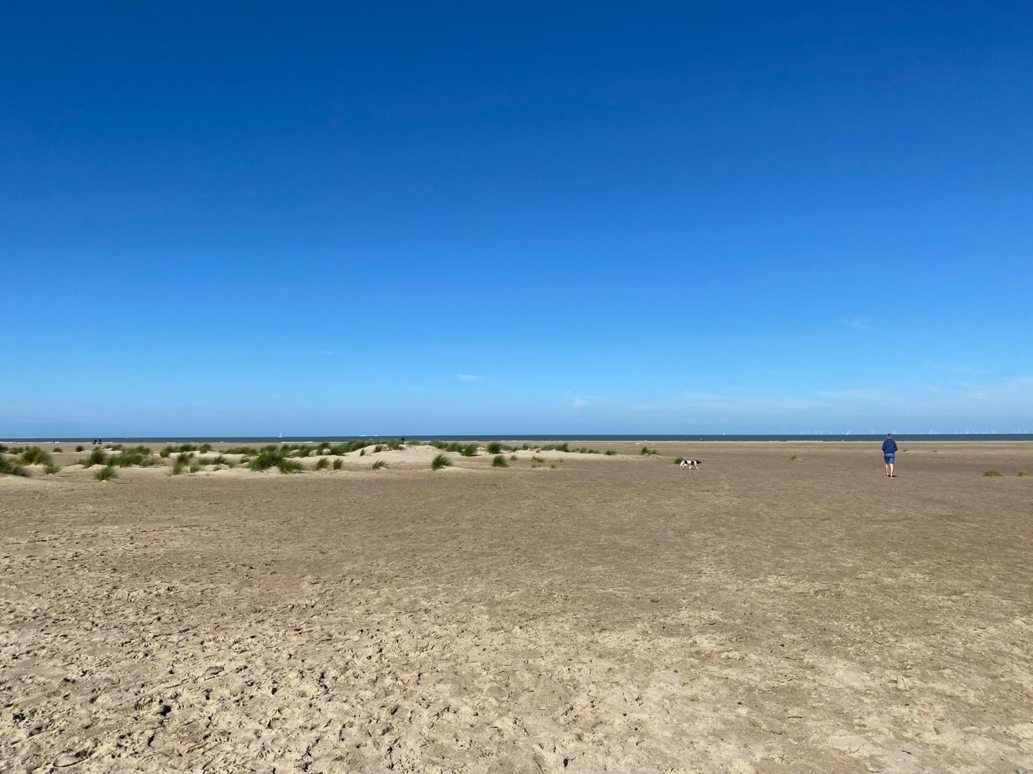 Residentie Nivaria Zeebrugge, appartement met 1 slaapkamer aan de jachthaven