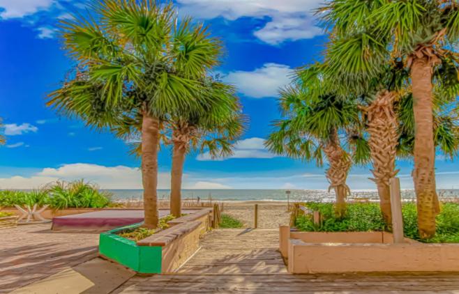 Direct Oceanfront Sea Mist Resort 20908 view 5