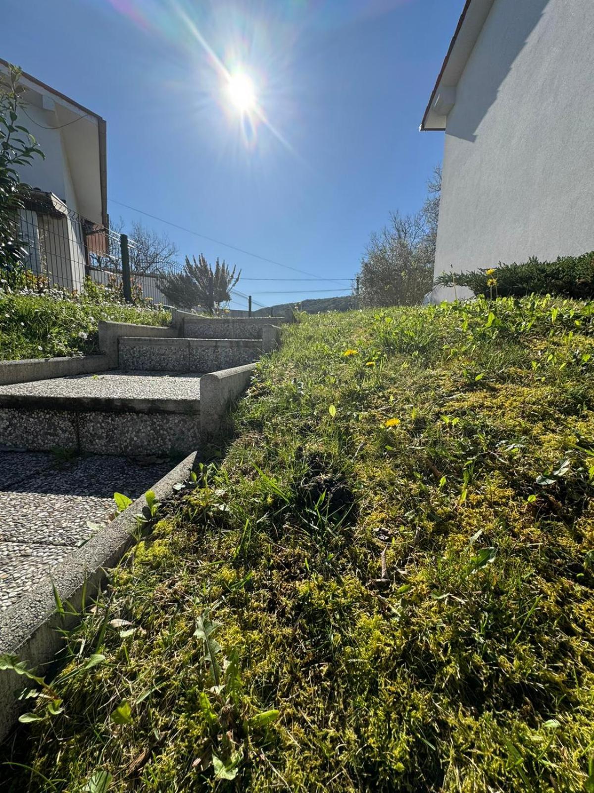 Casa Relax Immersa Nel Verde