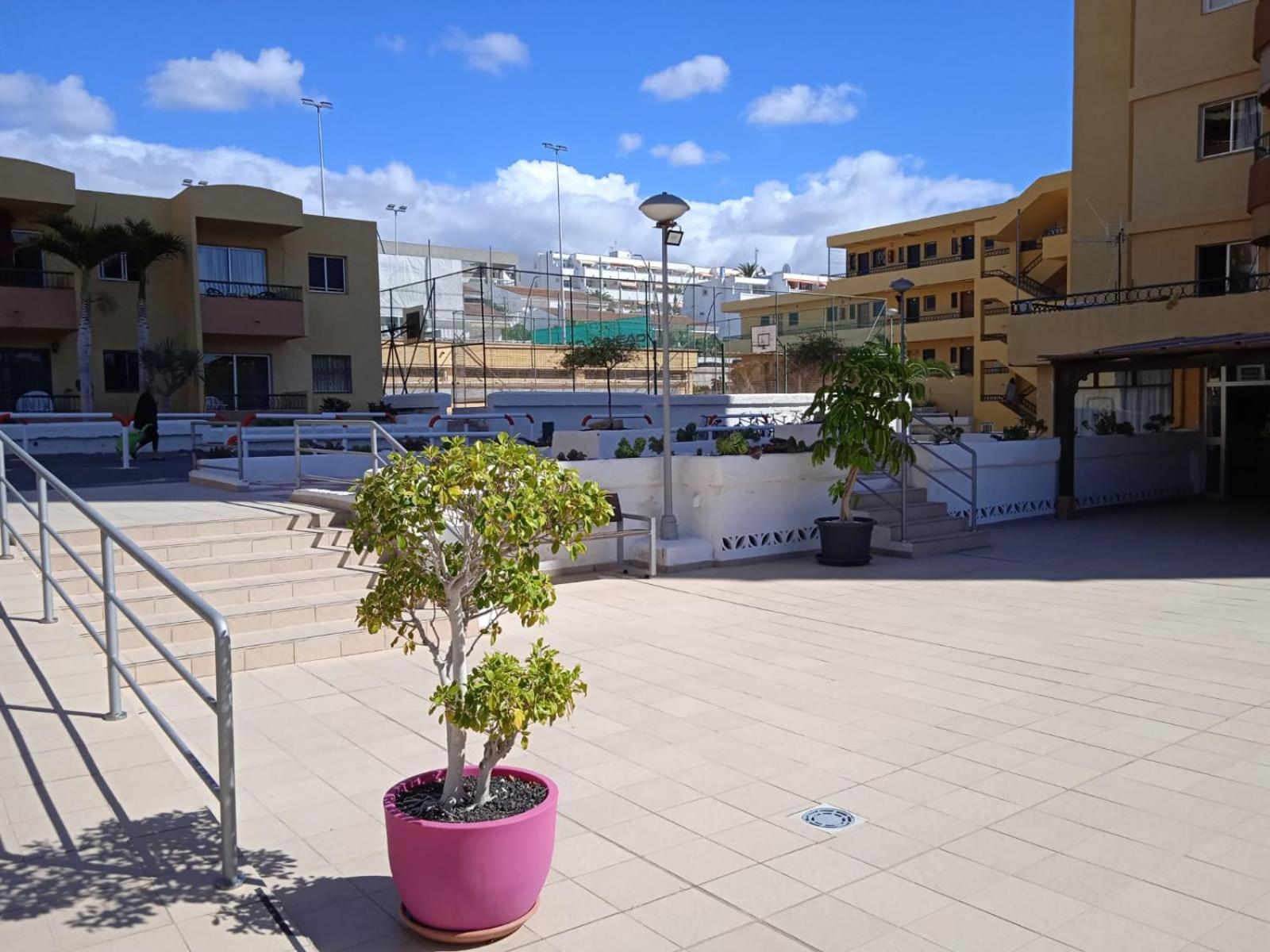 Firstline apartment Los Cristianos