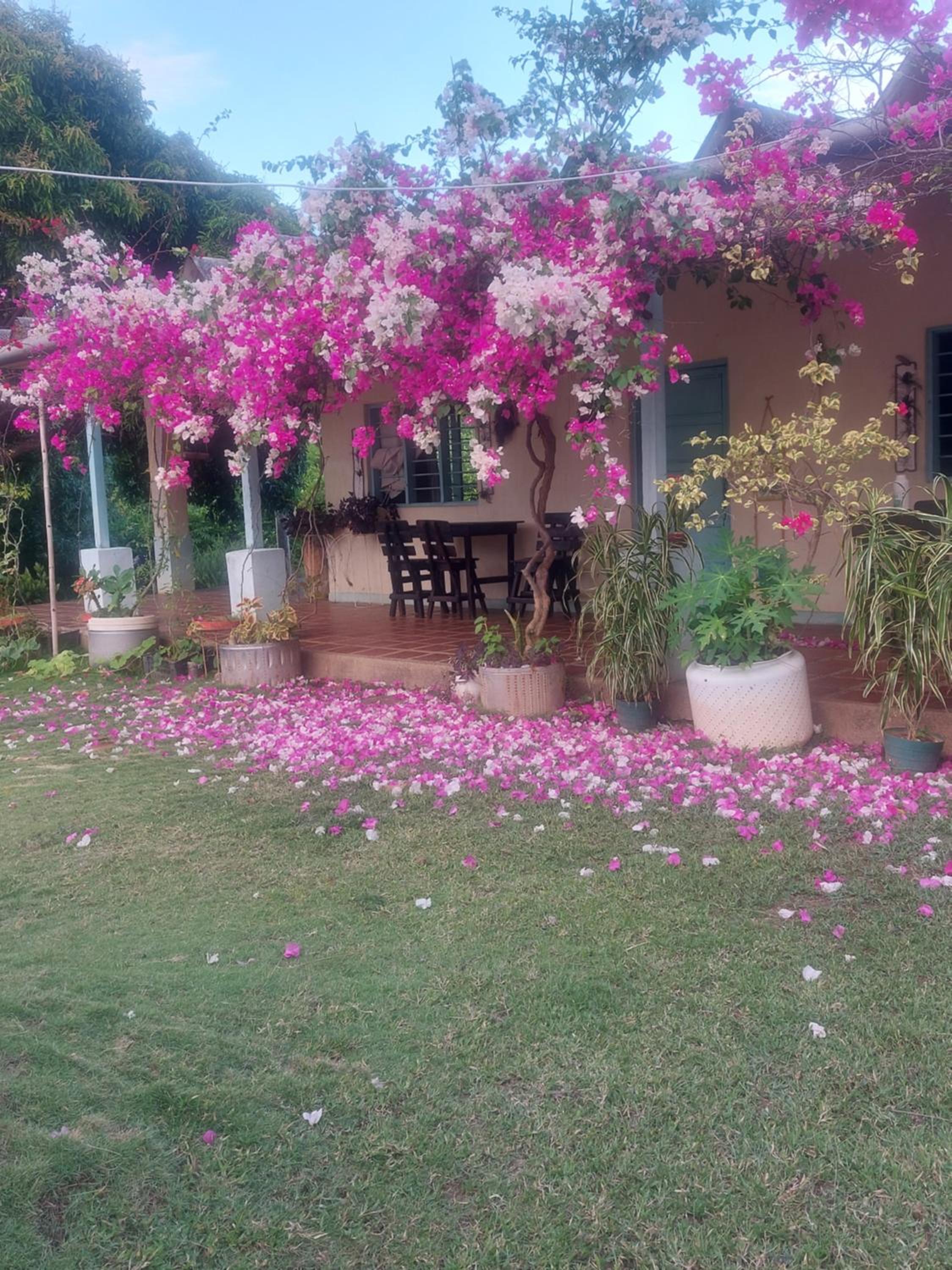 Ecoturismo Los Mangos
