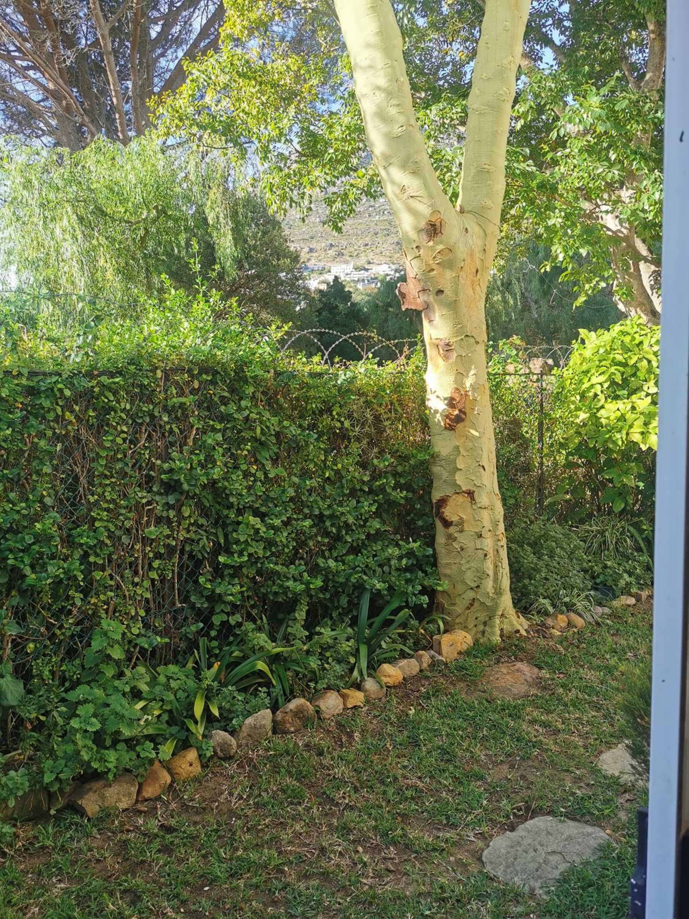 Photo 29