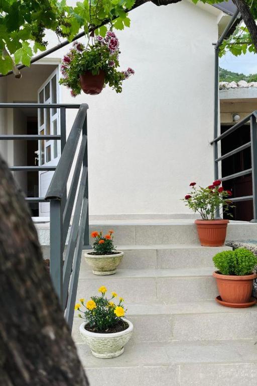 Apartments Stella