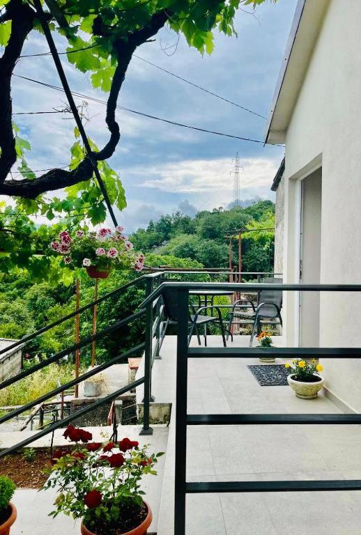 Apartments Stella