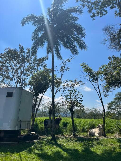 Trailer House
