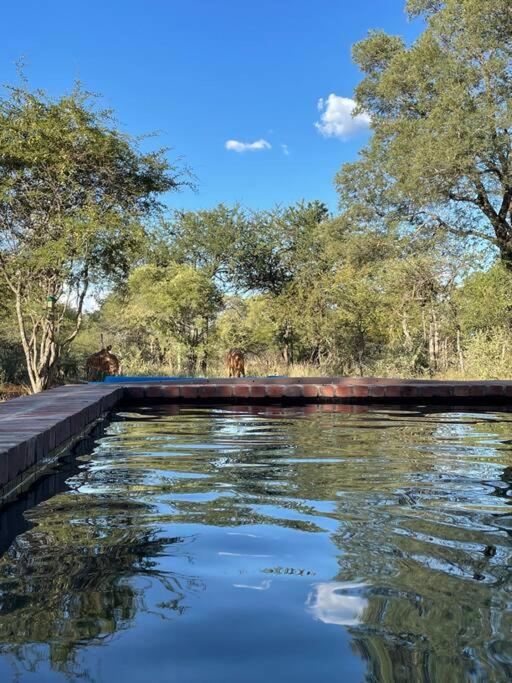 Zedara Bush Lodge view 4