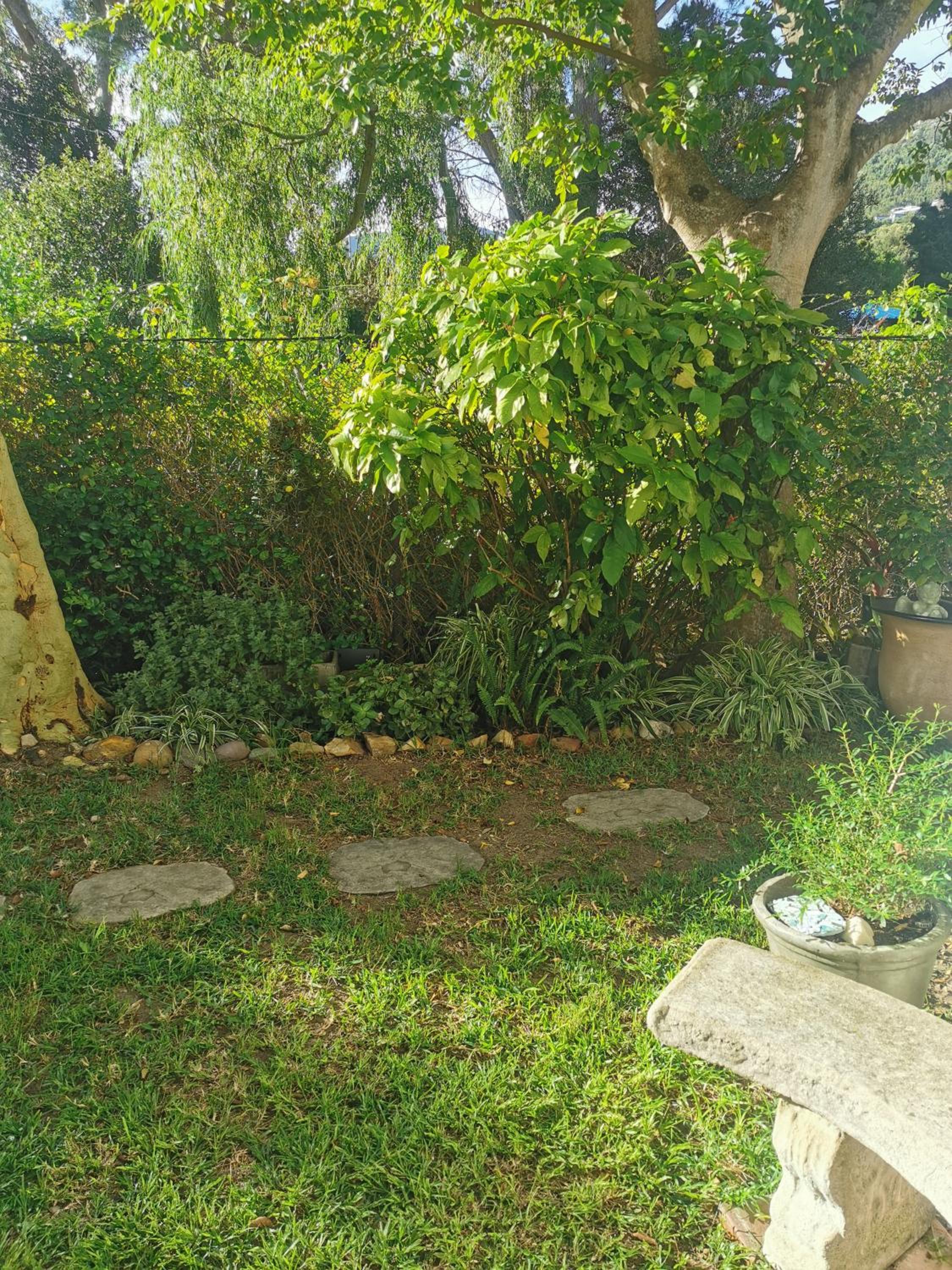 Photo 44