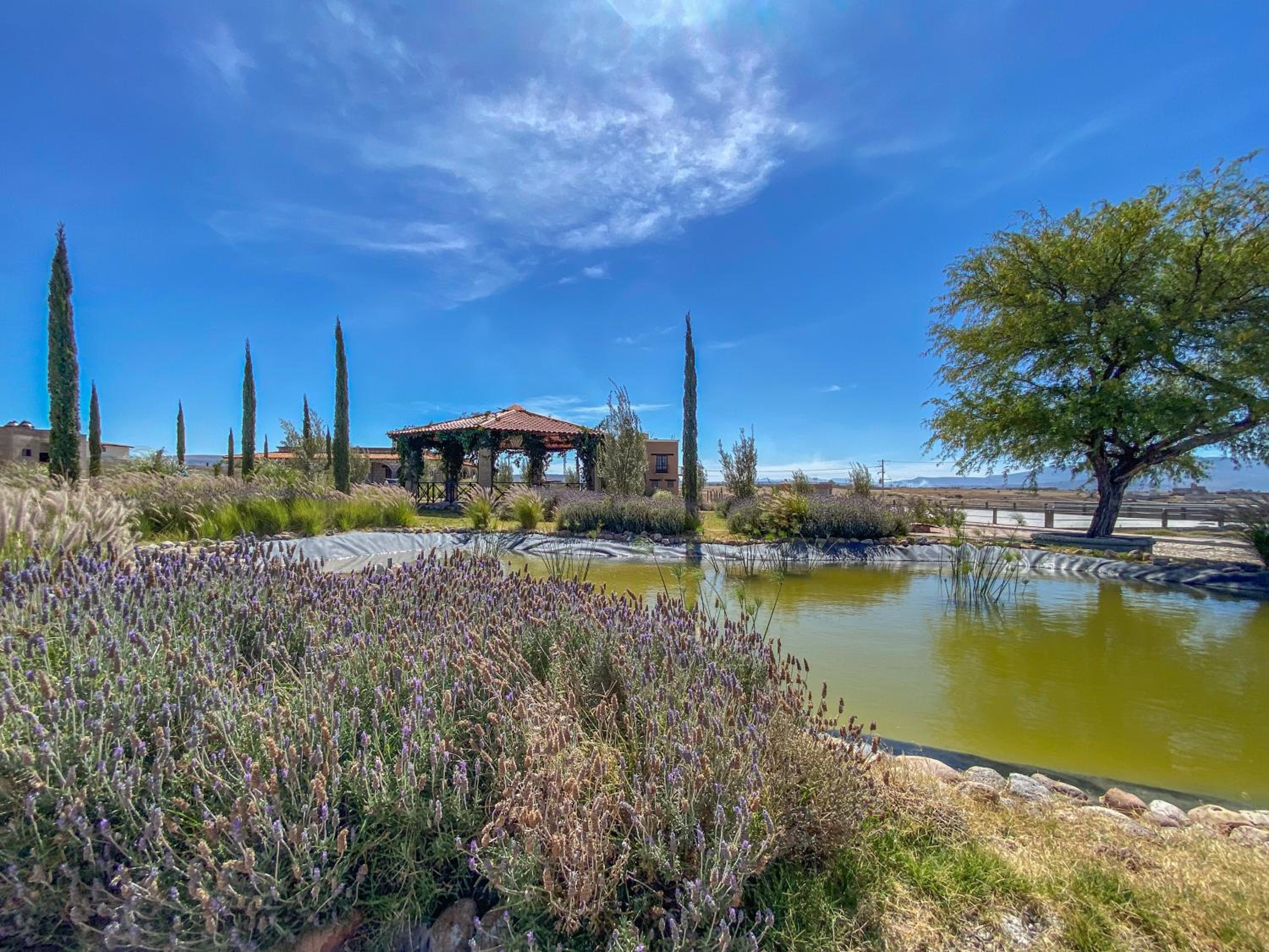 Rancho Santa Sofía view 3