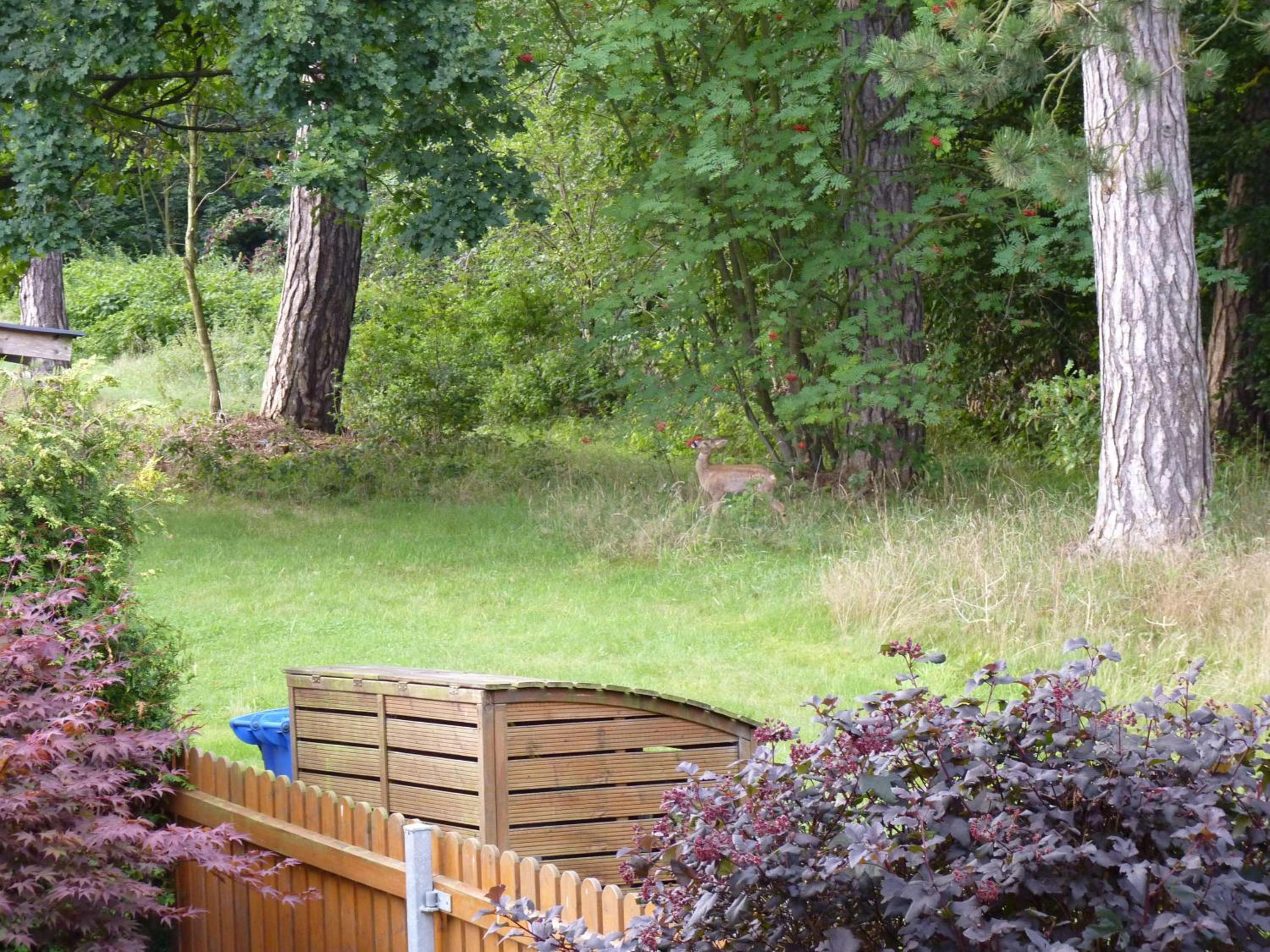 4-Personen-Ferienwohnung-im-Wald-mit-Kamin-84-Qudratmeter