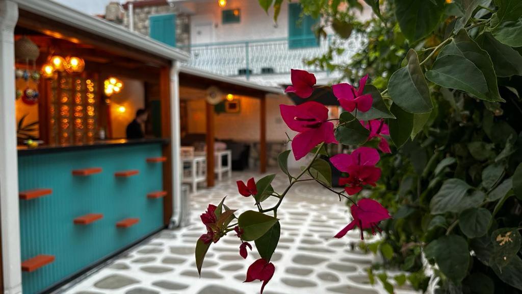 Sığacık Lotus City view 2