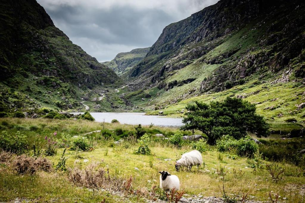 Gap of Dunloe Shepherd's Cottage